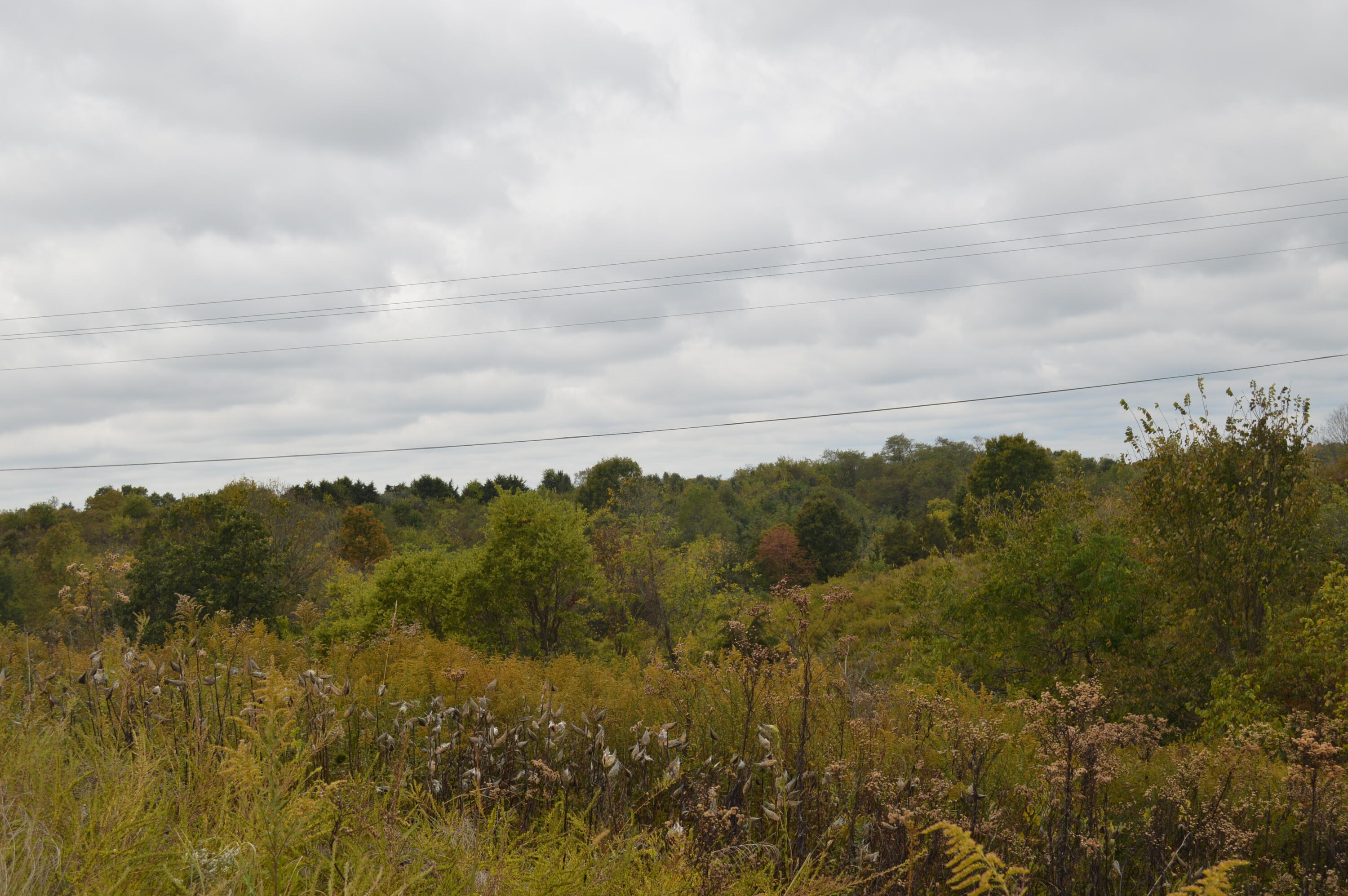 Lot #1 Georgetown Road Property Photo 10