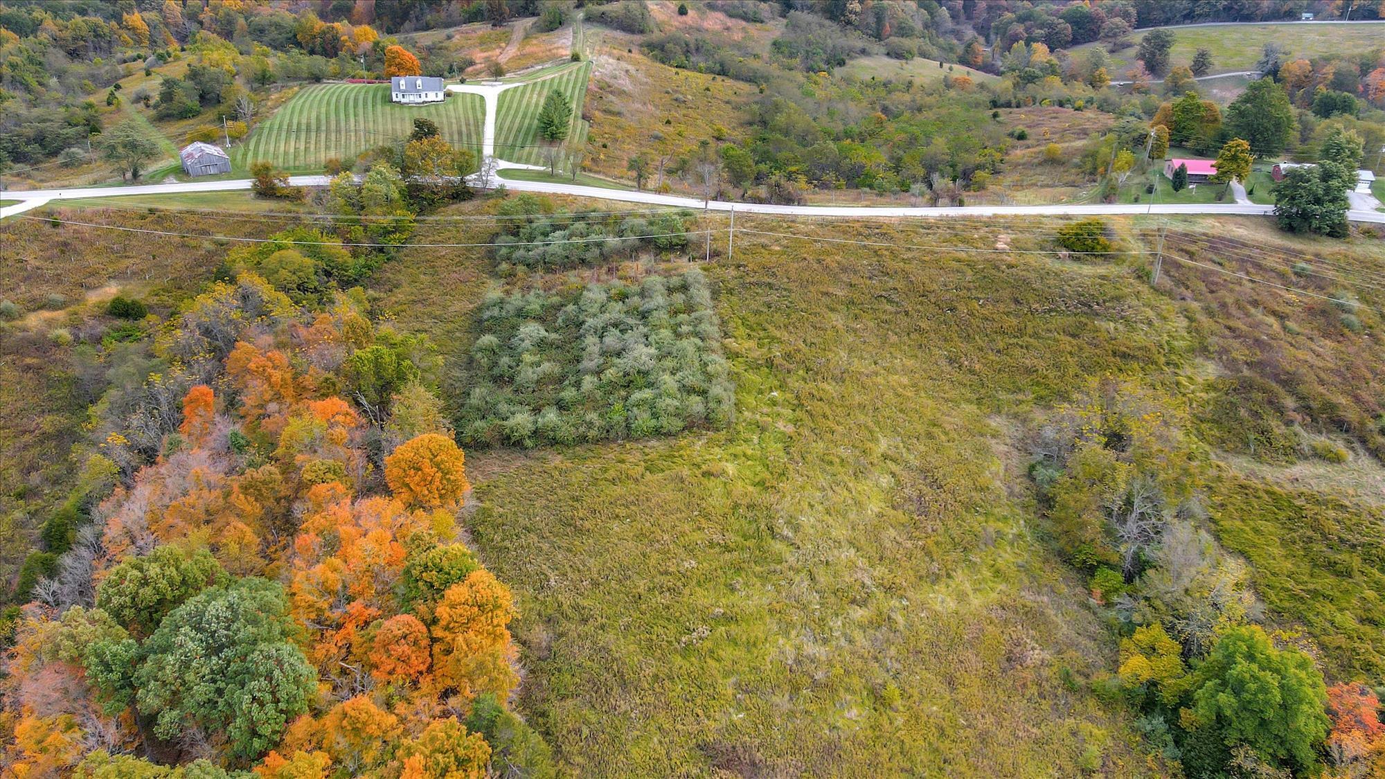Lot #2 Georgetown Road Property Photo 2
