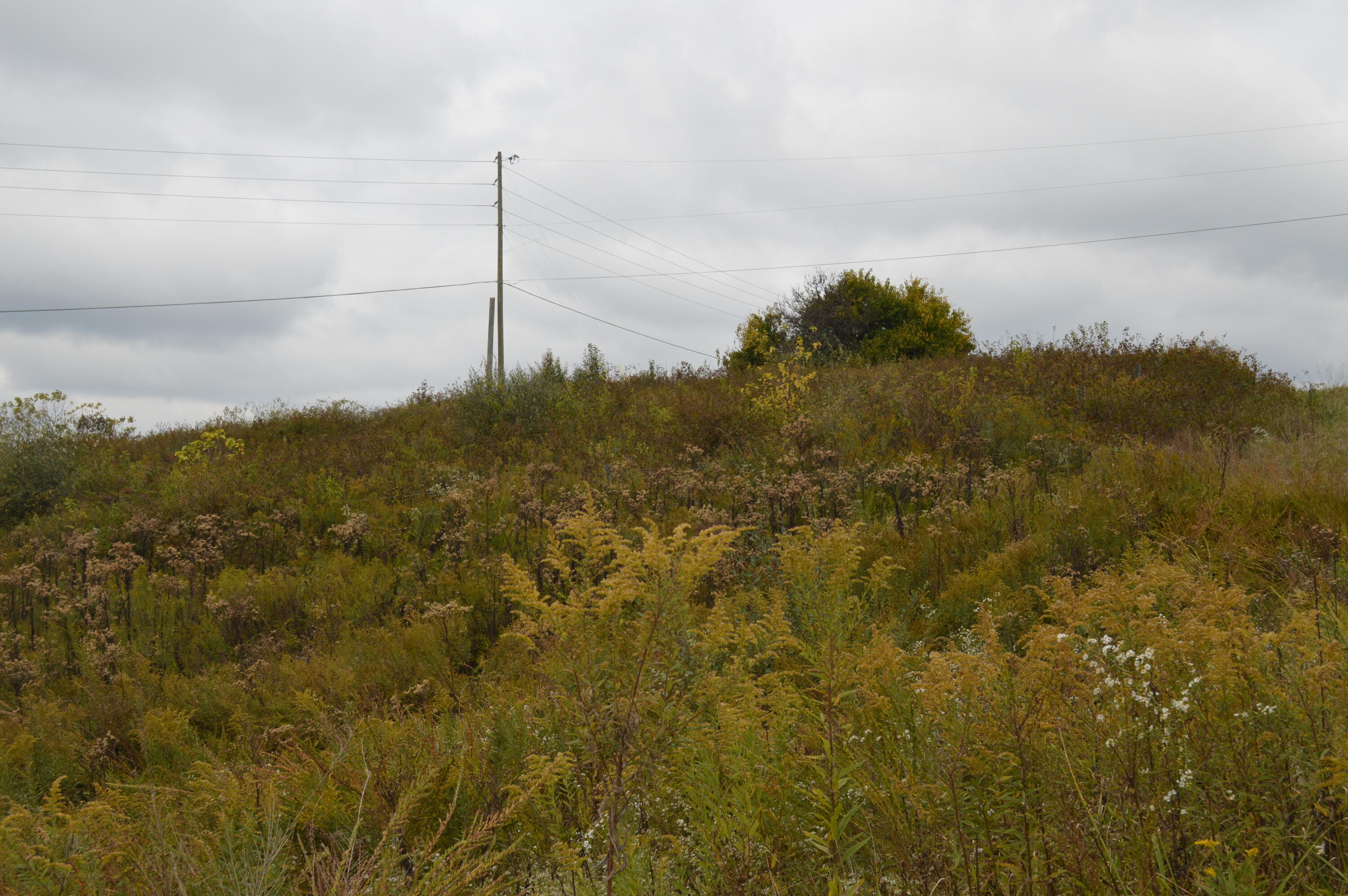 Lot #2 Georgetown Road Property Photo 5
