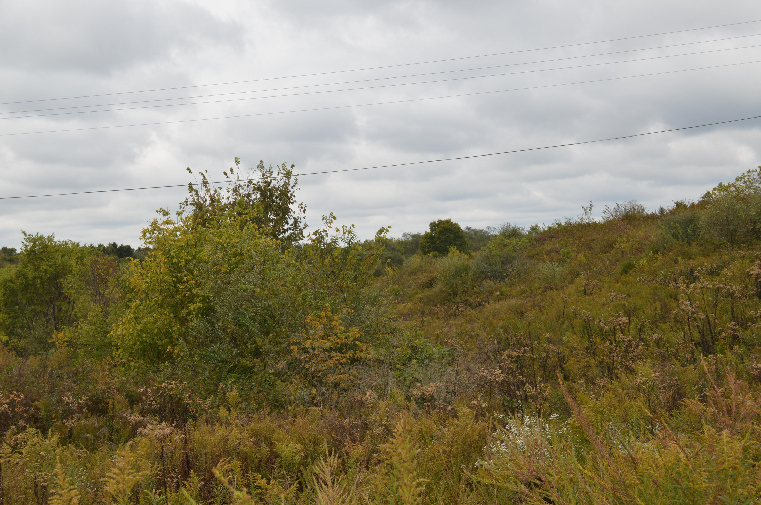 Lot #2 Georgetown Road Property Photo 6