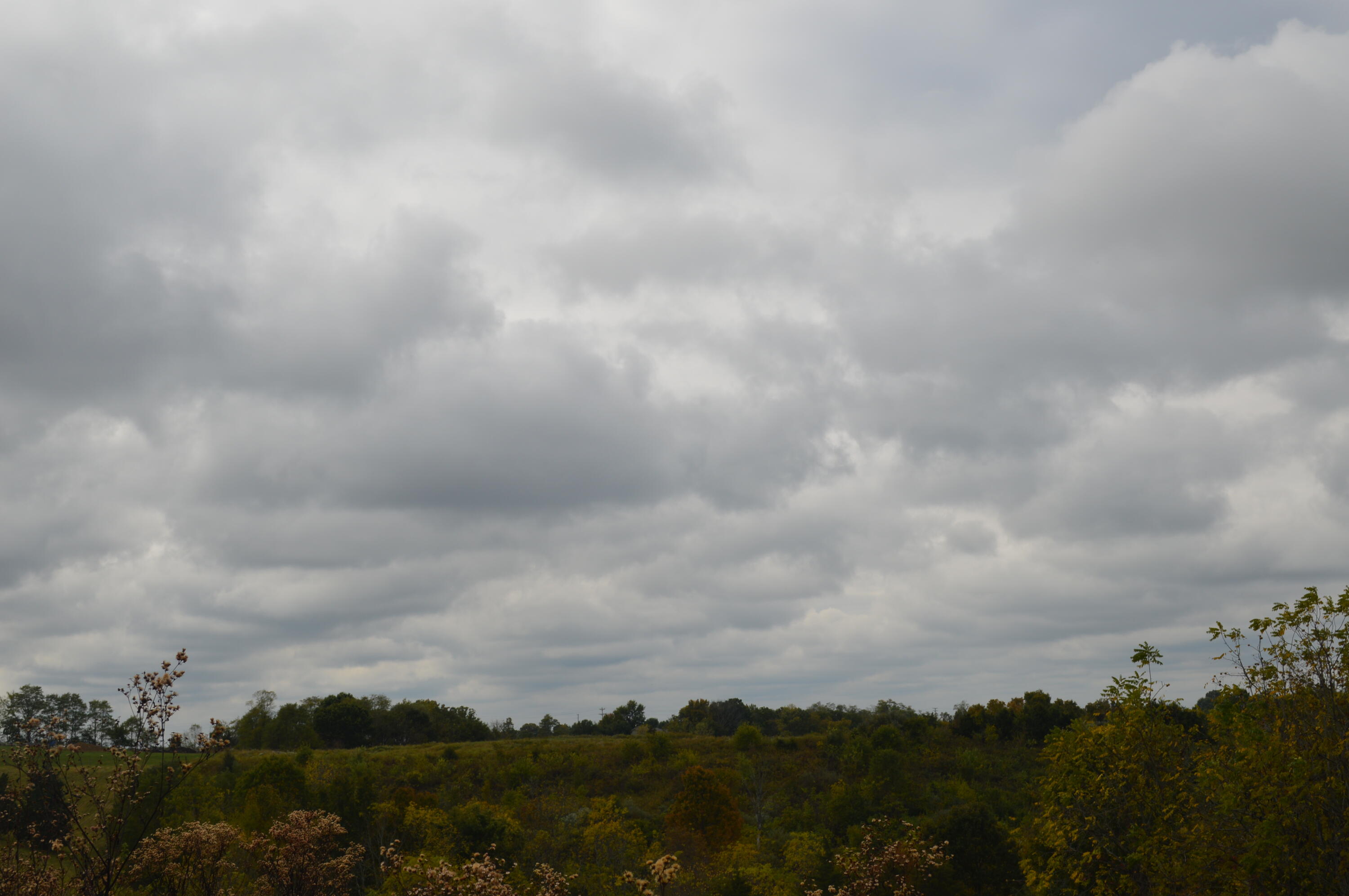 Lot #2 Georgetown Road Property Photo 9