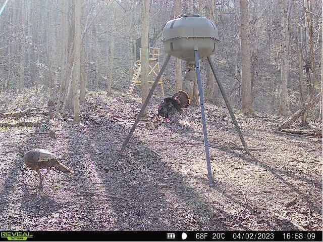 000 Aa Hwy Property Photo 13