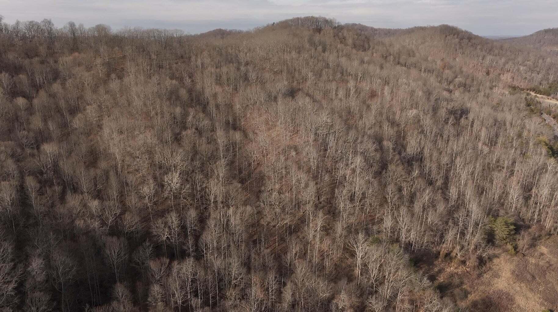 000 Aa Hwy Property Photo 35