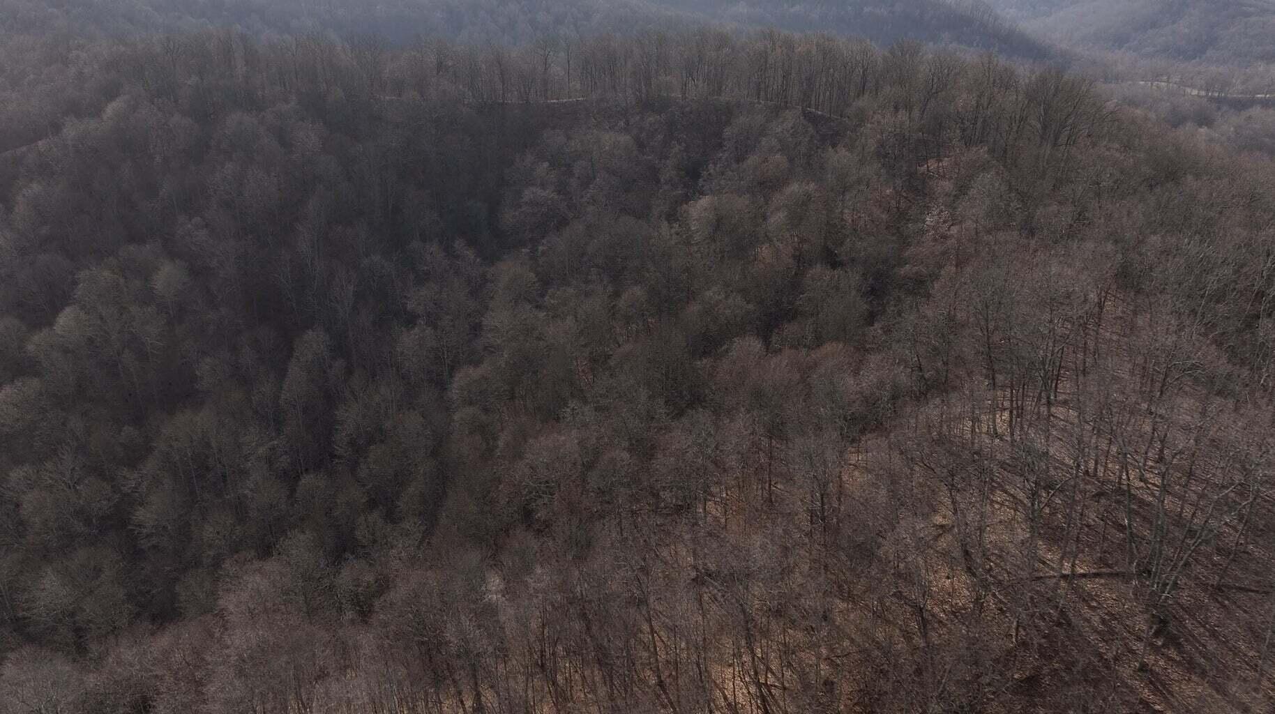 000 Aa Hwy Property Photo 38