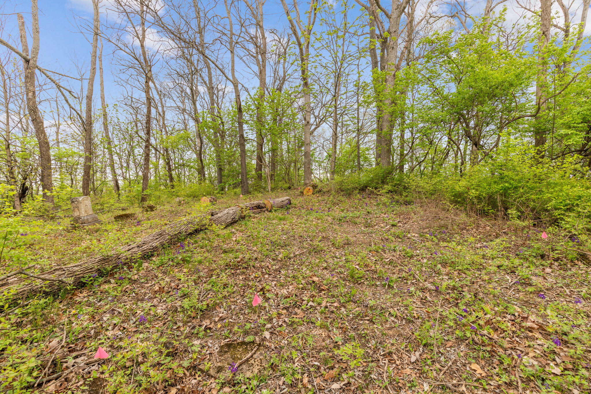 4231 River Road, Parcel-b Property Photo 5