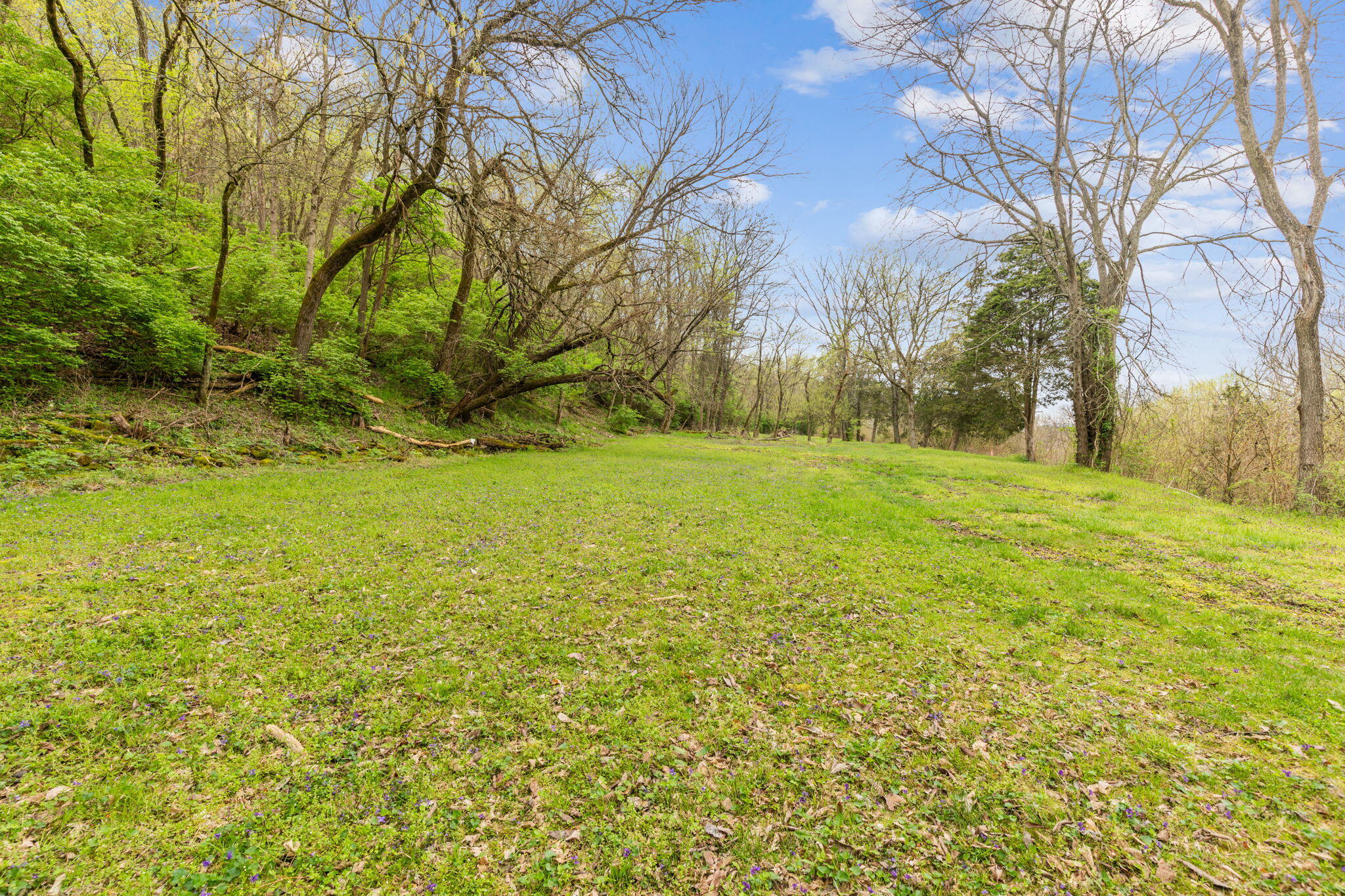 4231 River Road, Parcel-a-b-c Property Photo 1