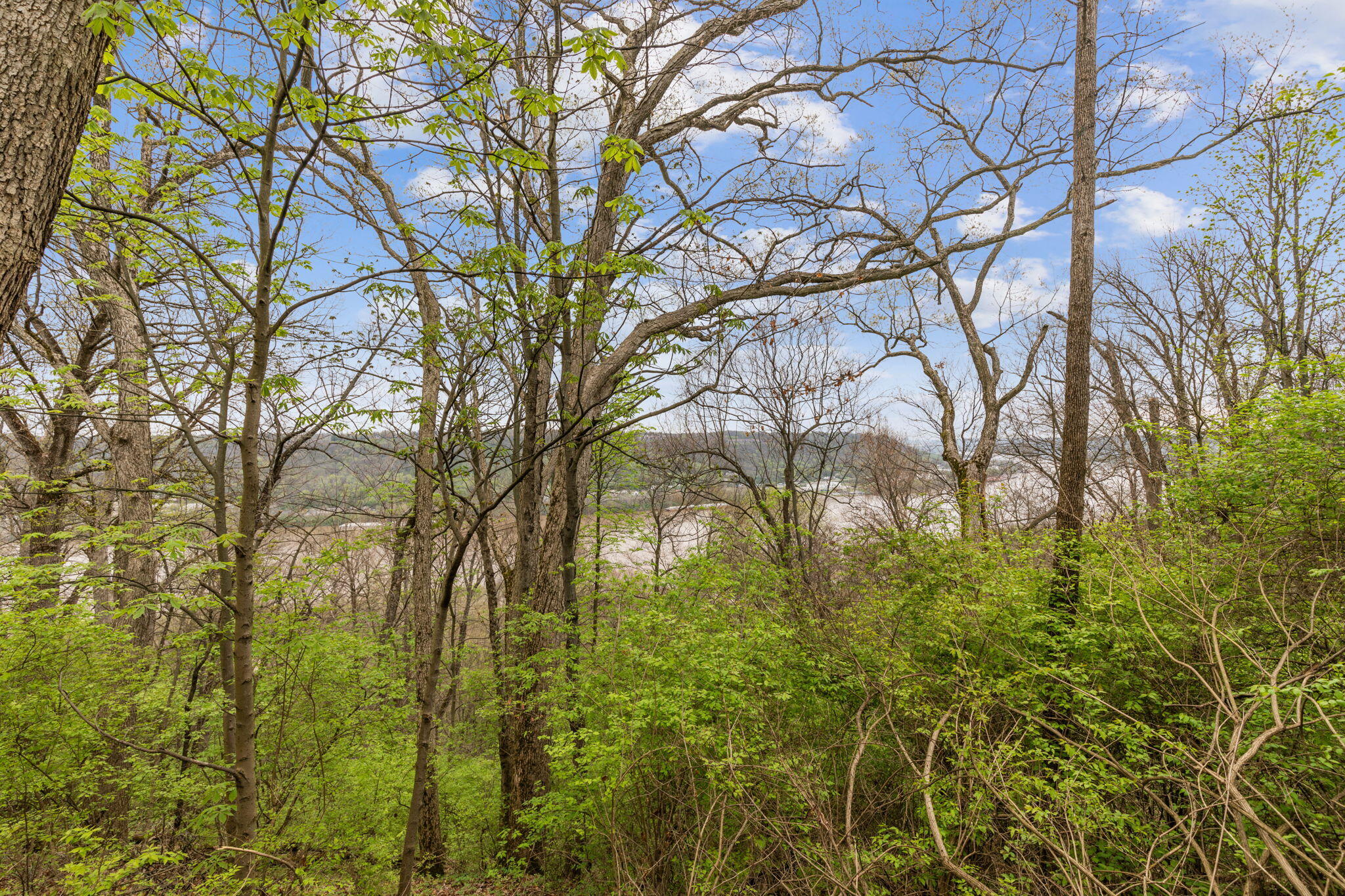 4231 River Road, Parcel-a-b-c Property Photo 4