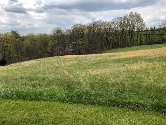 0 Lot# 10 Long Ridge Lane Property Photo 12