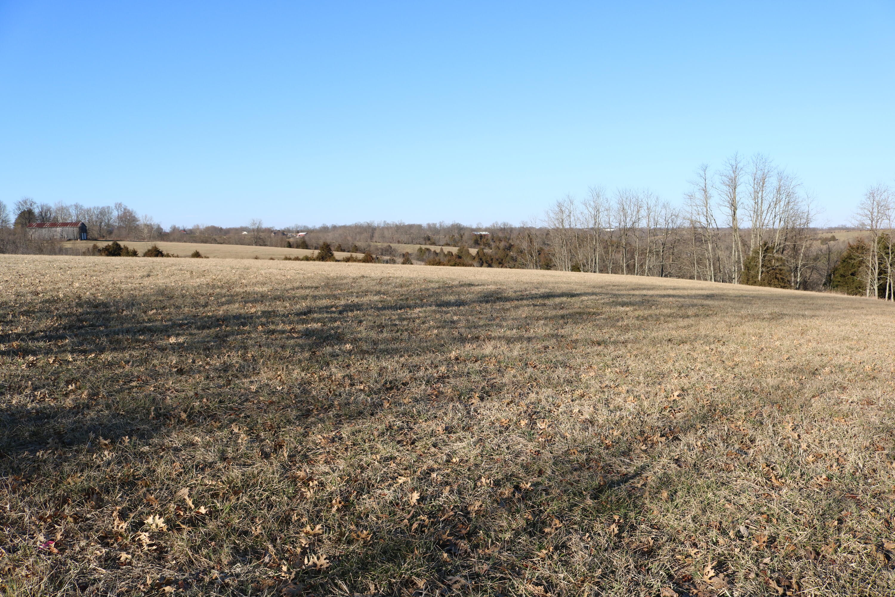5.21 Acres Vallandingham Road Property Photo 1