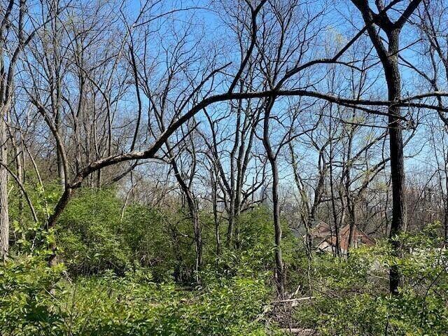 846 Western Avenue, Lot 3 Property Photo 3