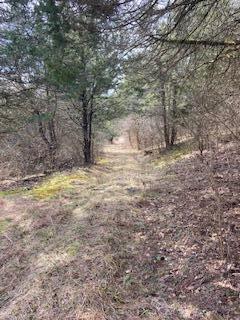 518 Bailey Road Property Photo 3
