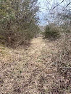 518 Bailey Road Property Photo 6