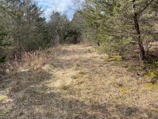 518 Bailey Road Property Photo 10