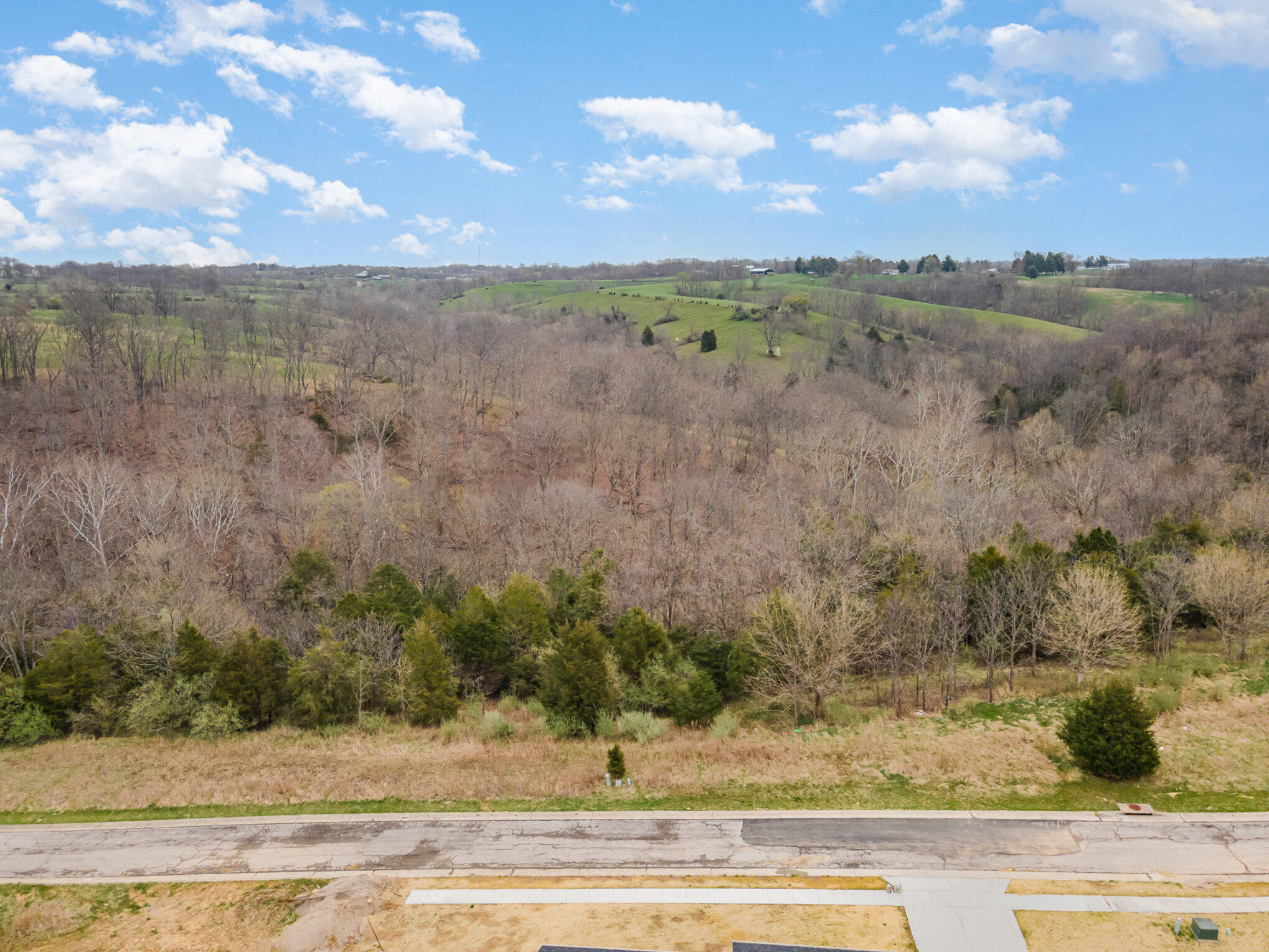 Lot 31 Saddlebrook Lane Property Photo 15