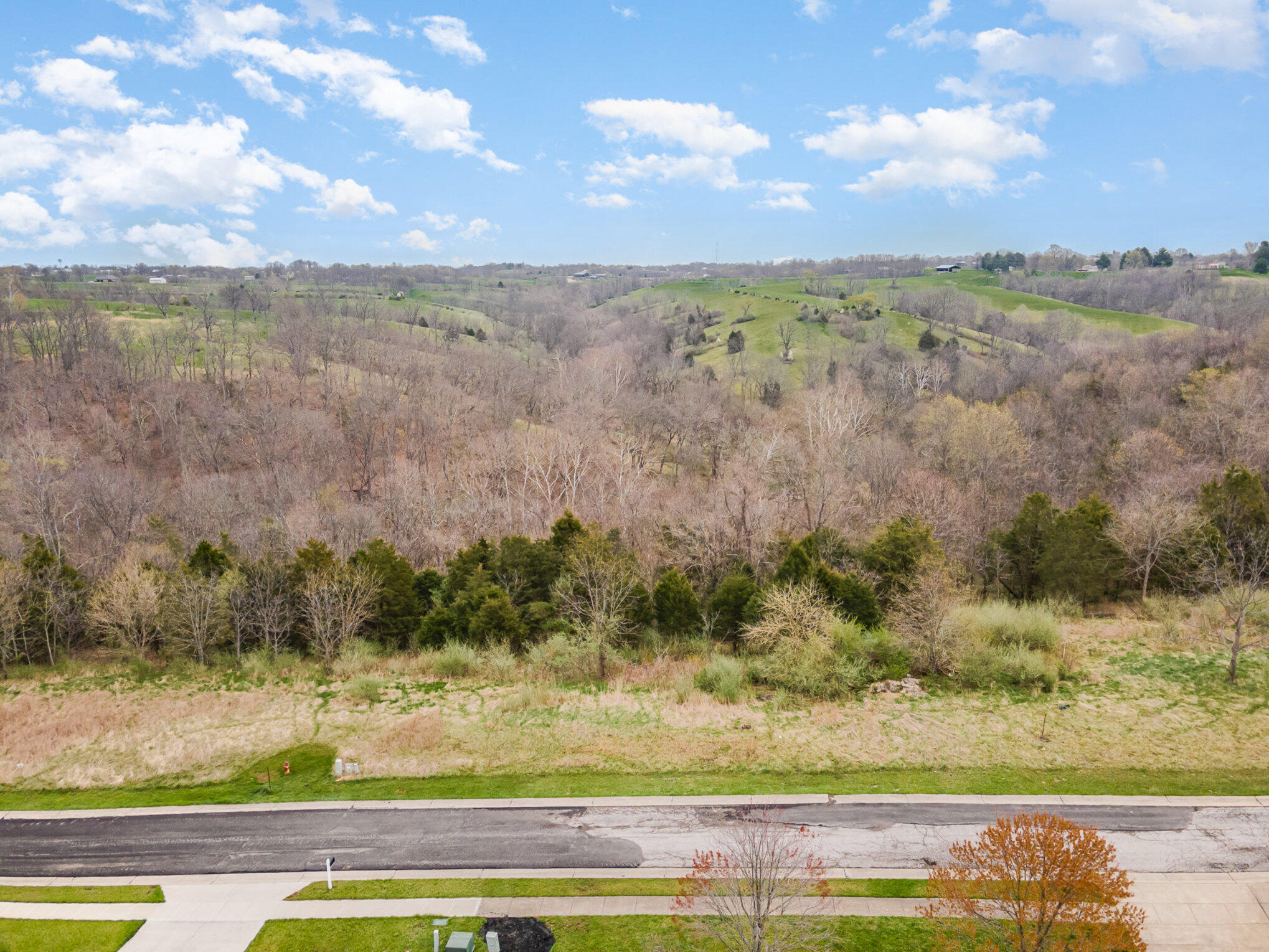 Lot 31 Saddlebrook Lane Property Photo 16
