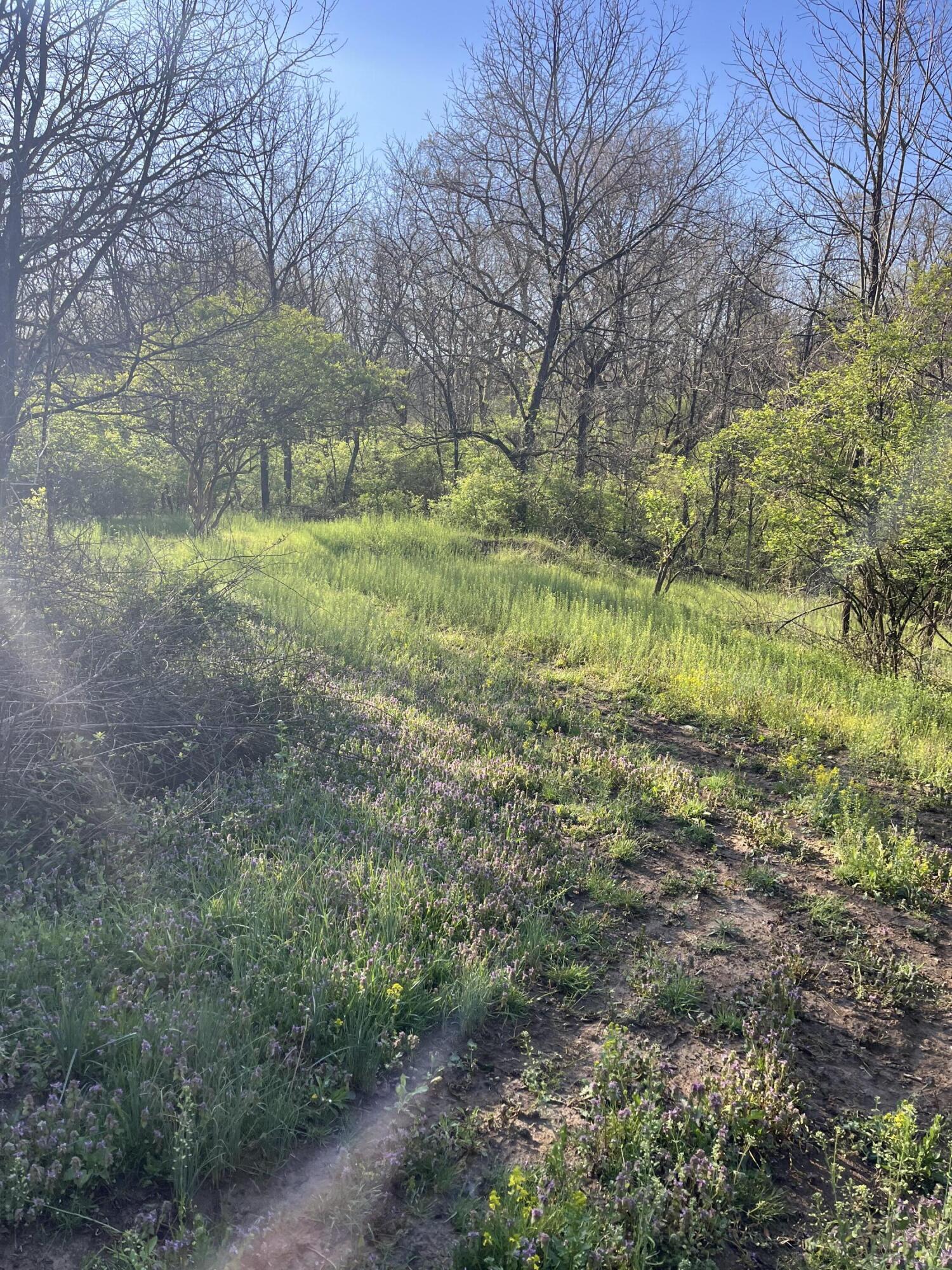 7620 E Bend Road Property Photo 8