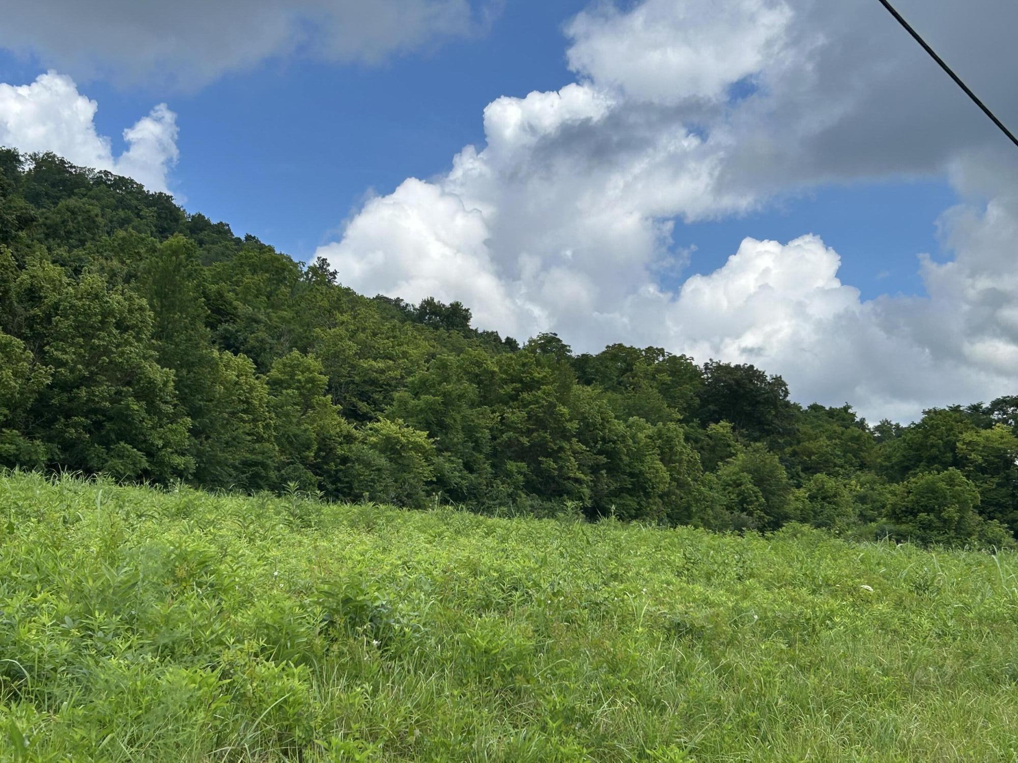 4285 Hwy 467 Property Photo 2