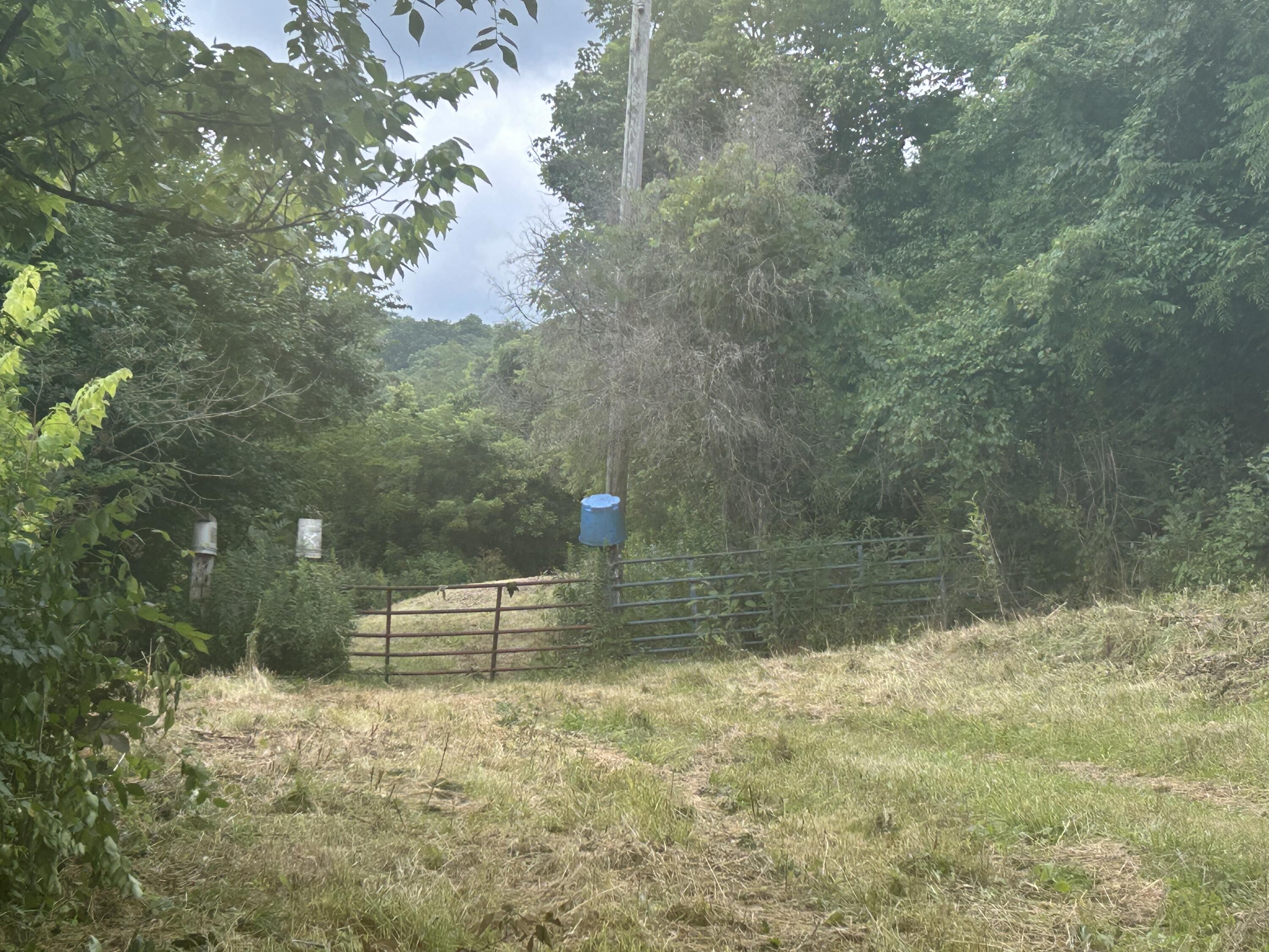 4285 Hwy 467 Property Photo 3