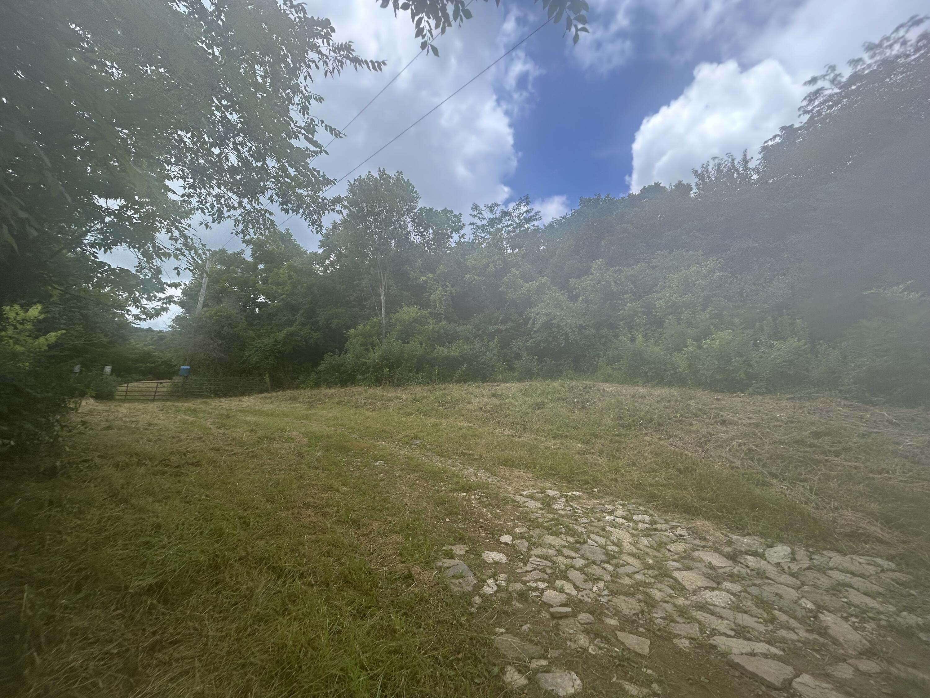 4285 Hwy 467 Property Photo 4
