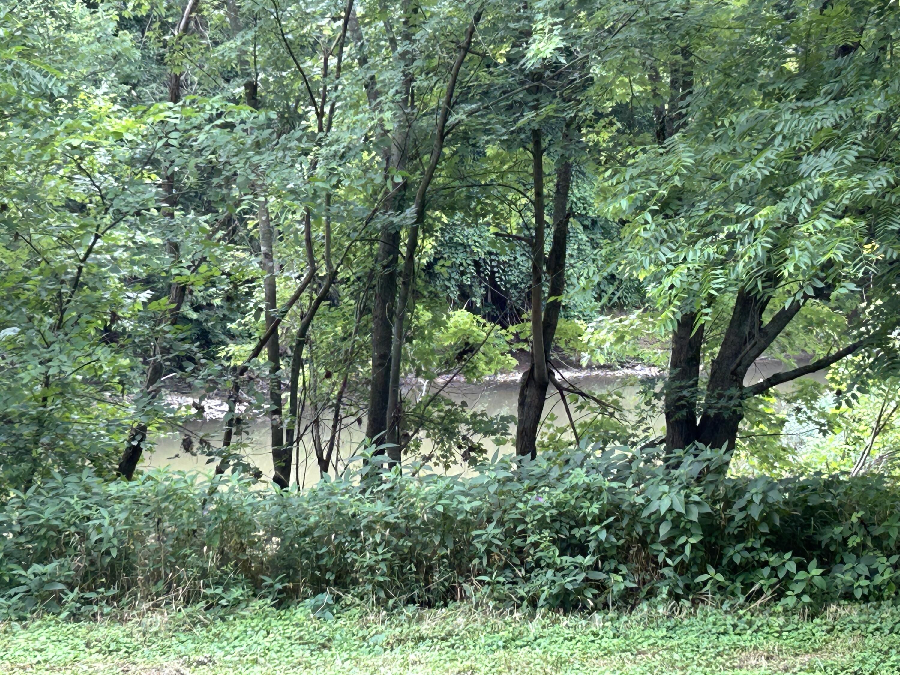 4285 Hwy 467 Property Photo 10
