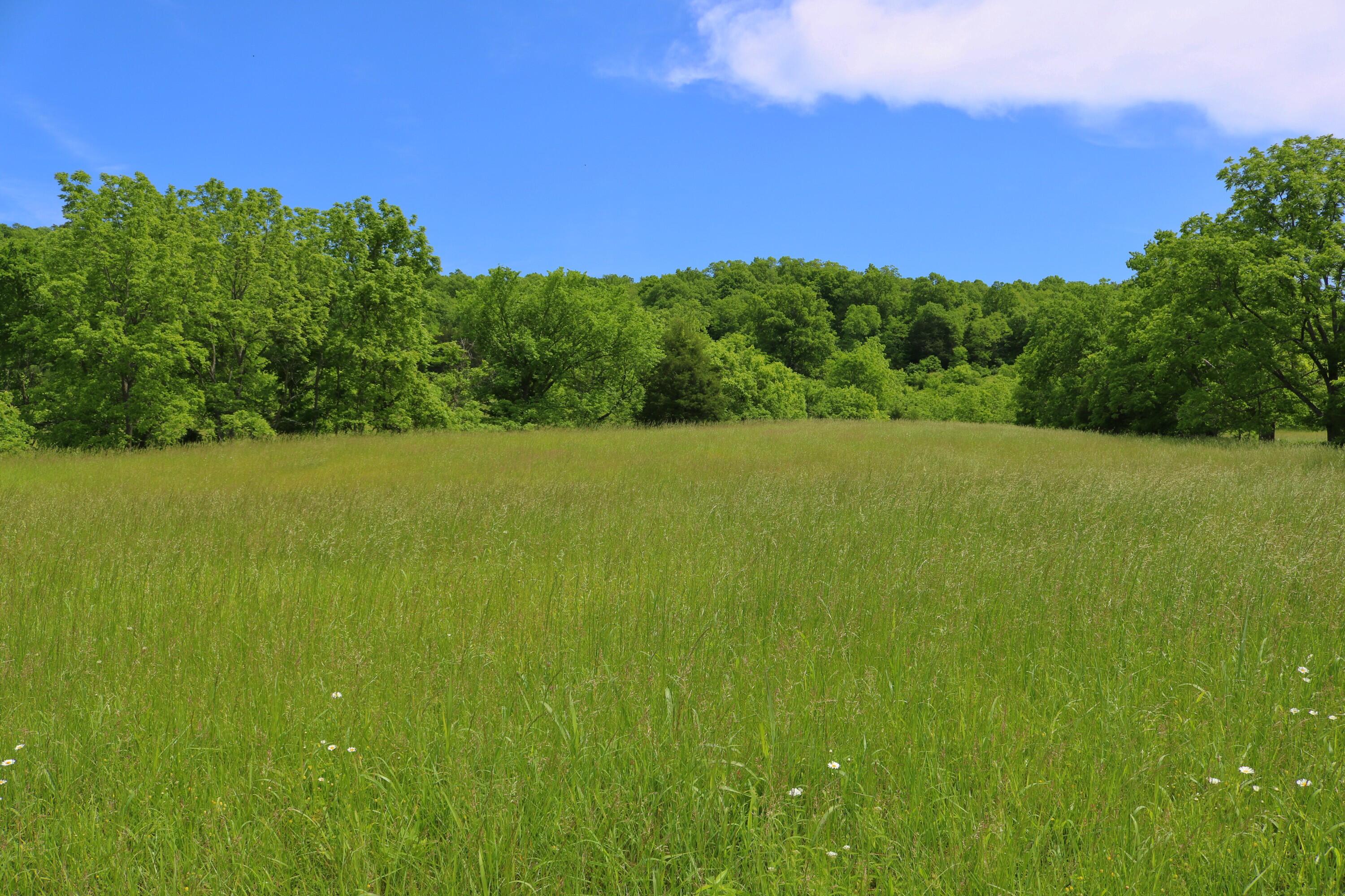 25.78 Acres McDonald Ferry Road