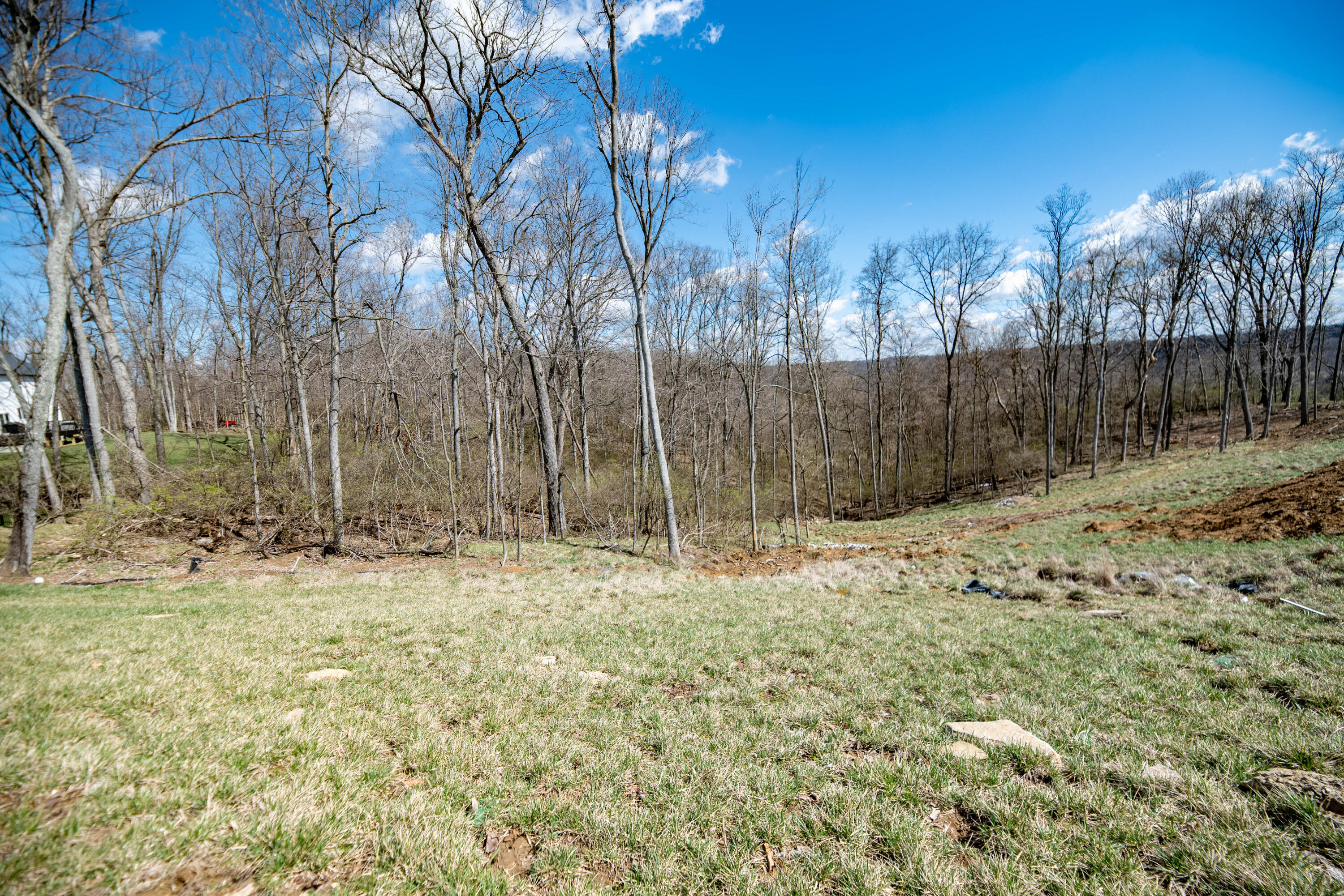 3852 Sherbourne Drive Property Photo 41
