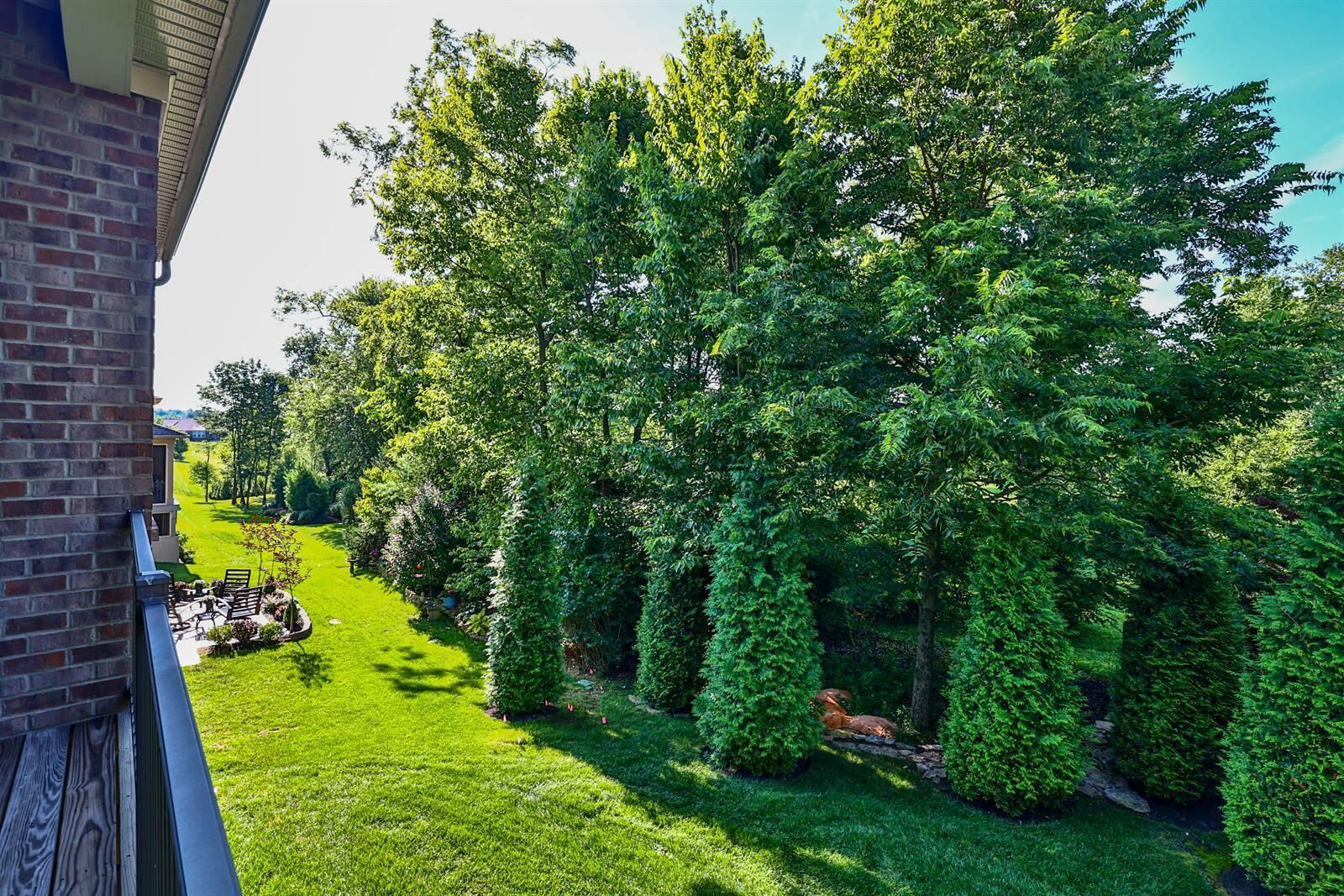 1065 Mccarron Lane Property Photo 39