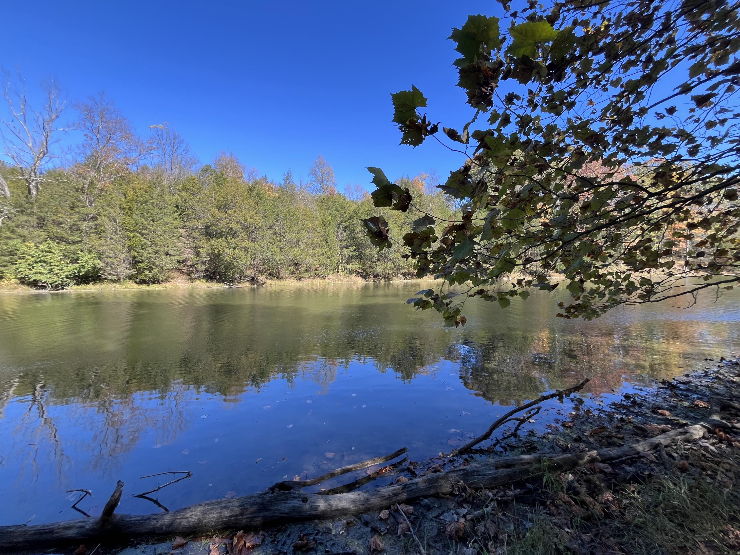 3105 Gratz Road Property Photo 2