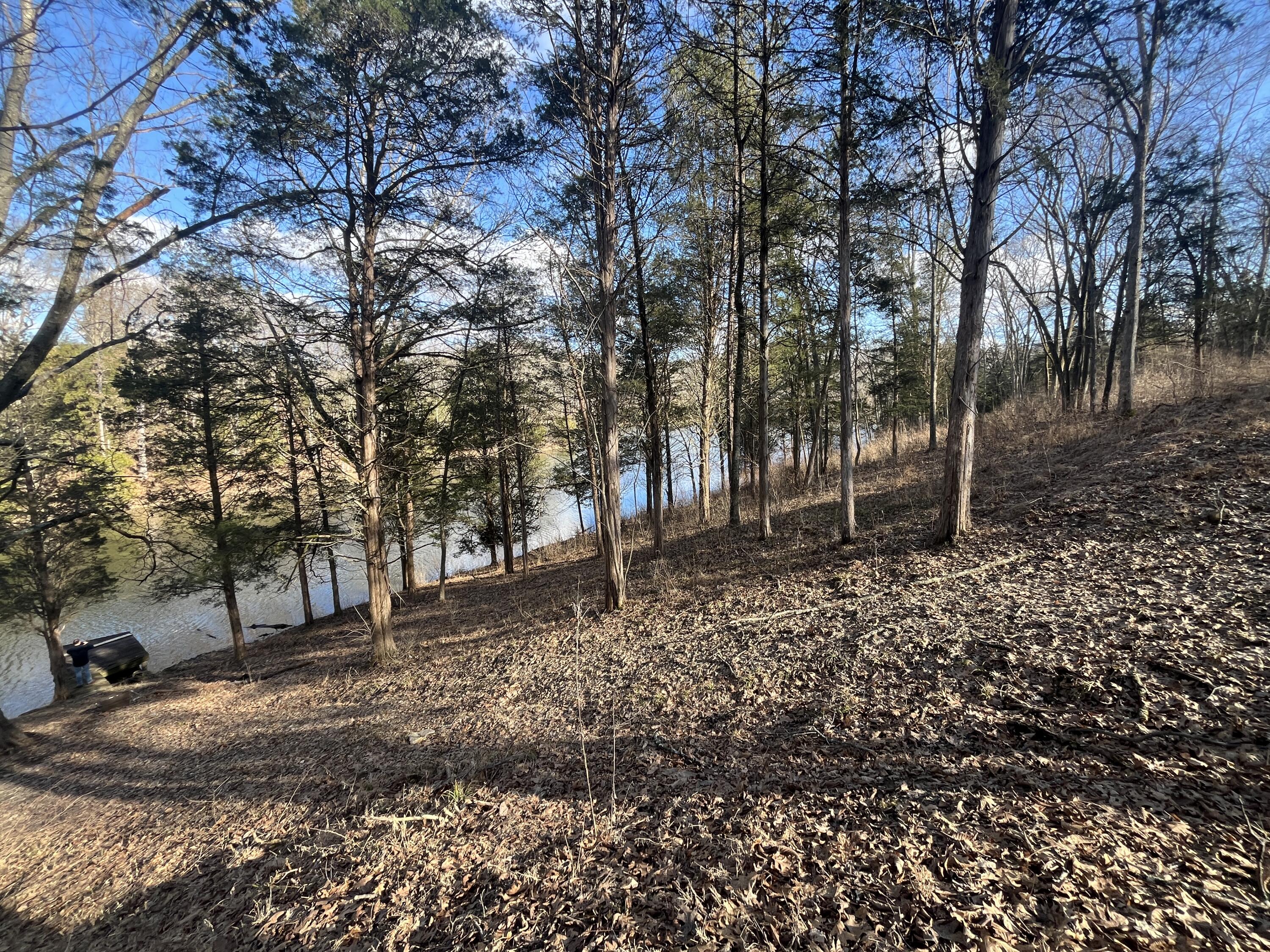 3105 Gratz Road Property Photo 14