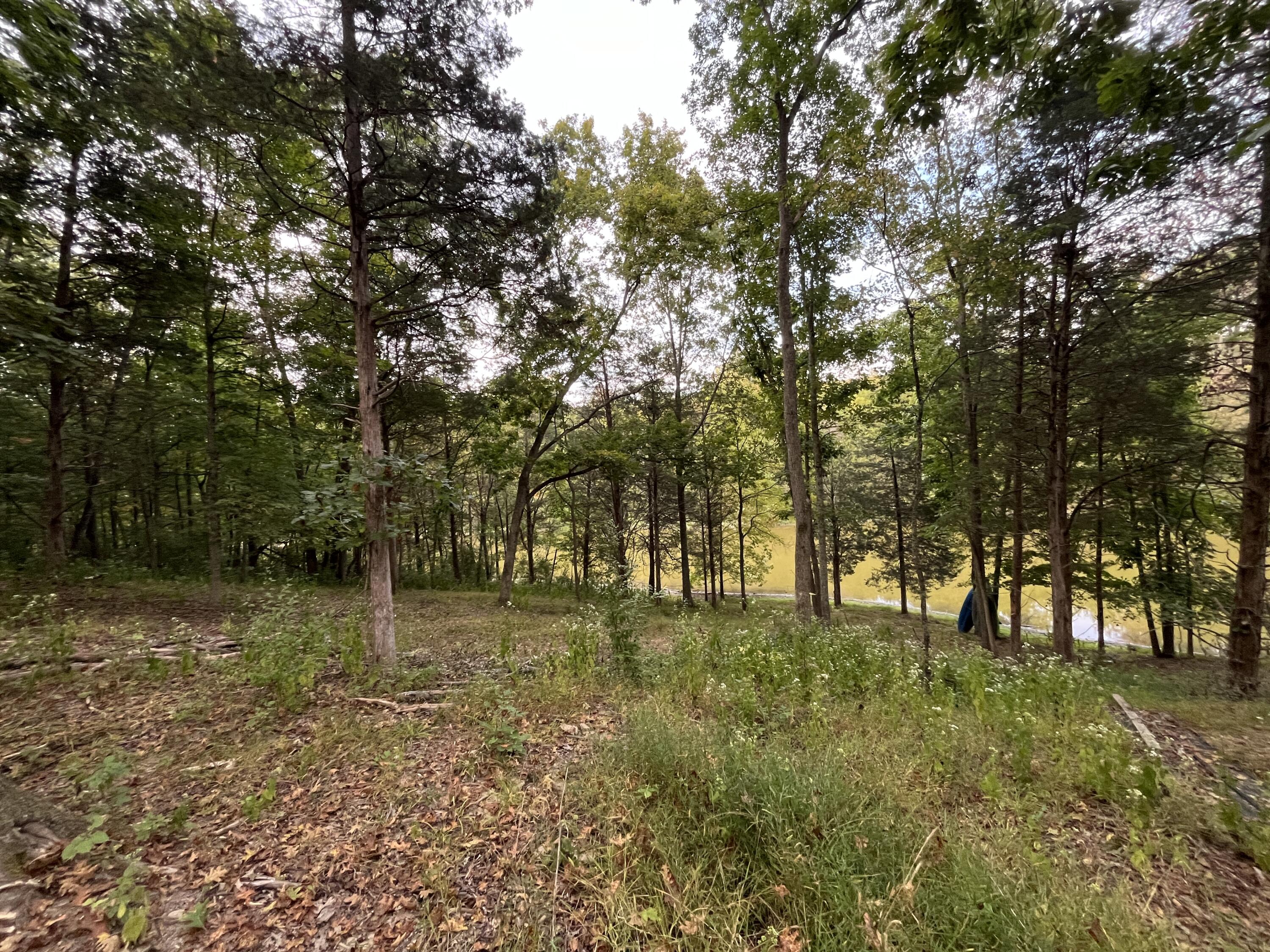 3105 Gratz Road Property Photo 23