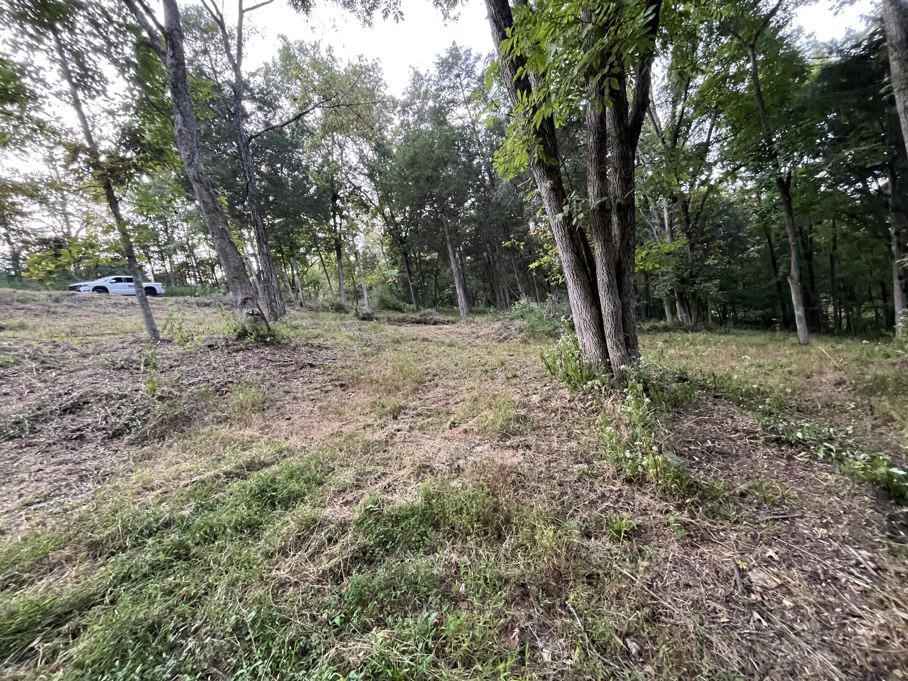 3105 Gratz Road Property Photo 24