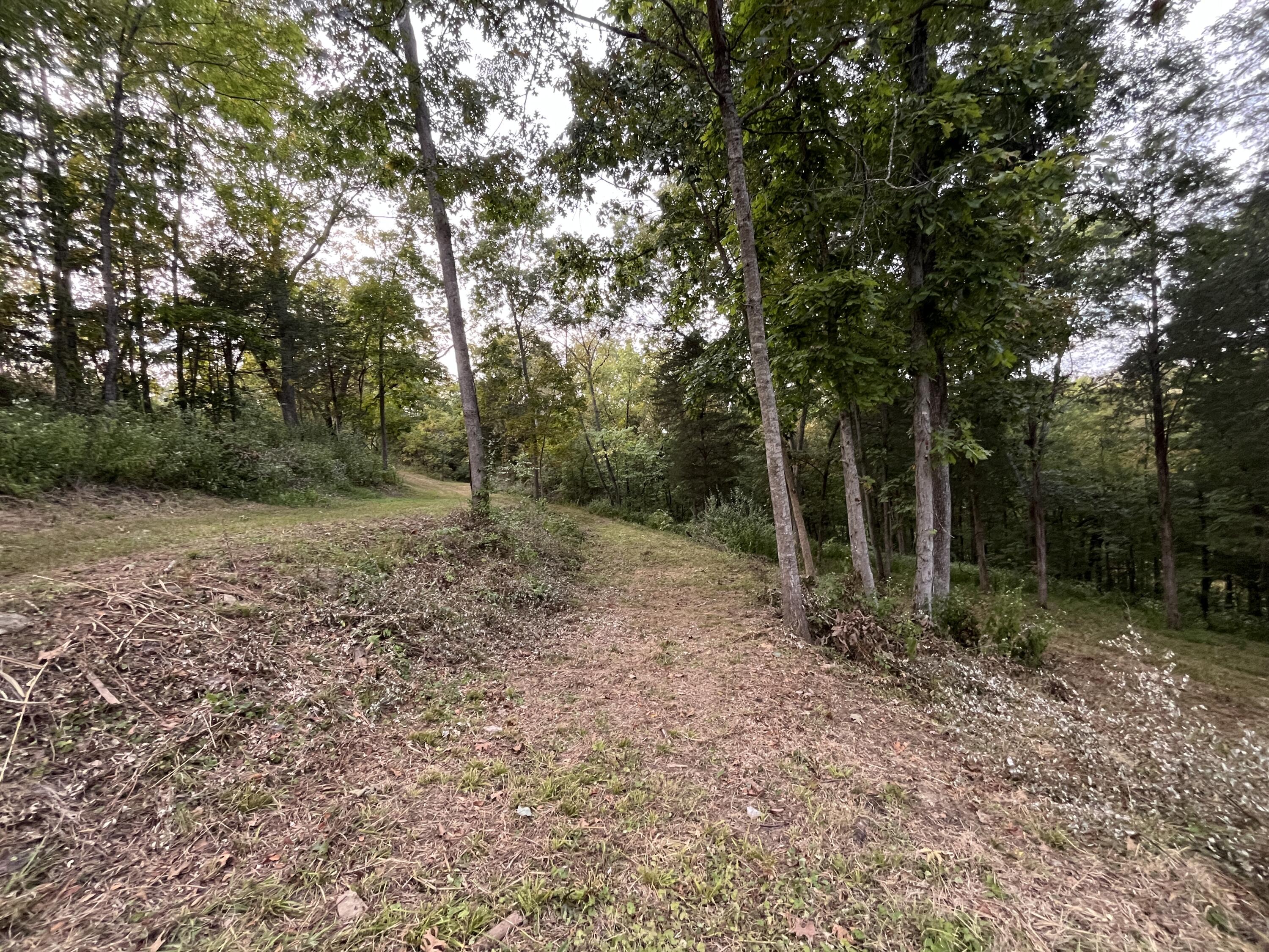 3105 Gratz Road Property Photo 25