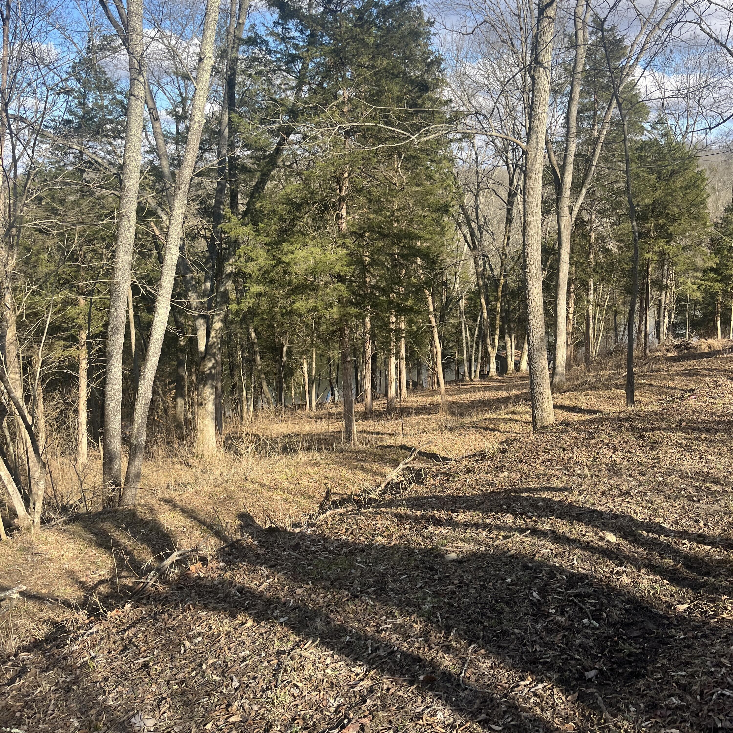 3105 Gratz Road Property Photo 34