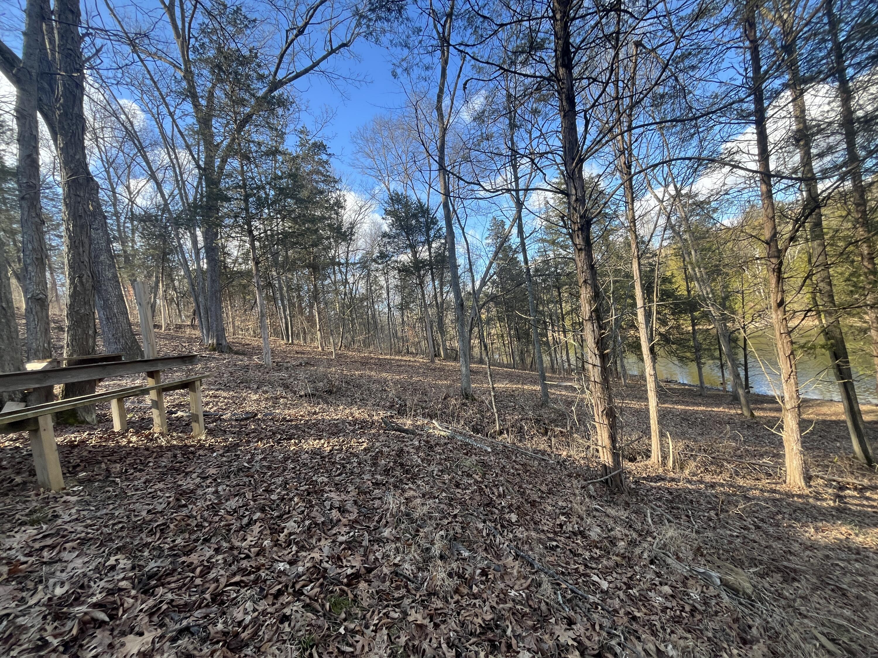 3105 Gratz Road Property Photo 36