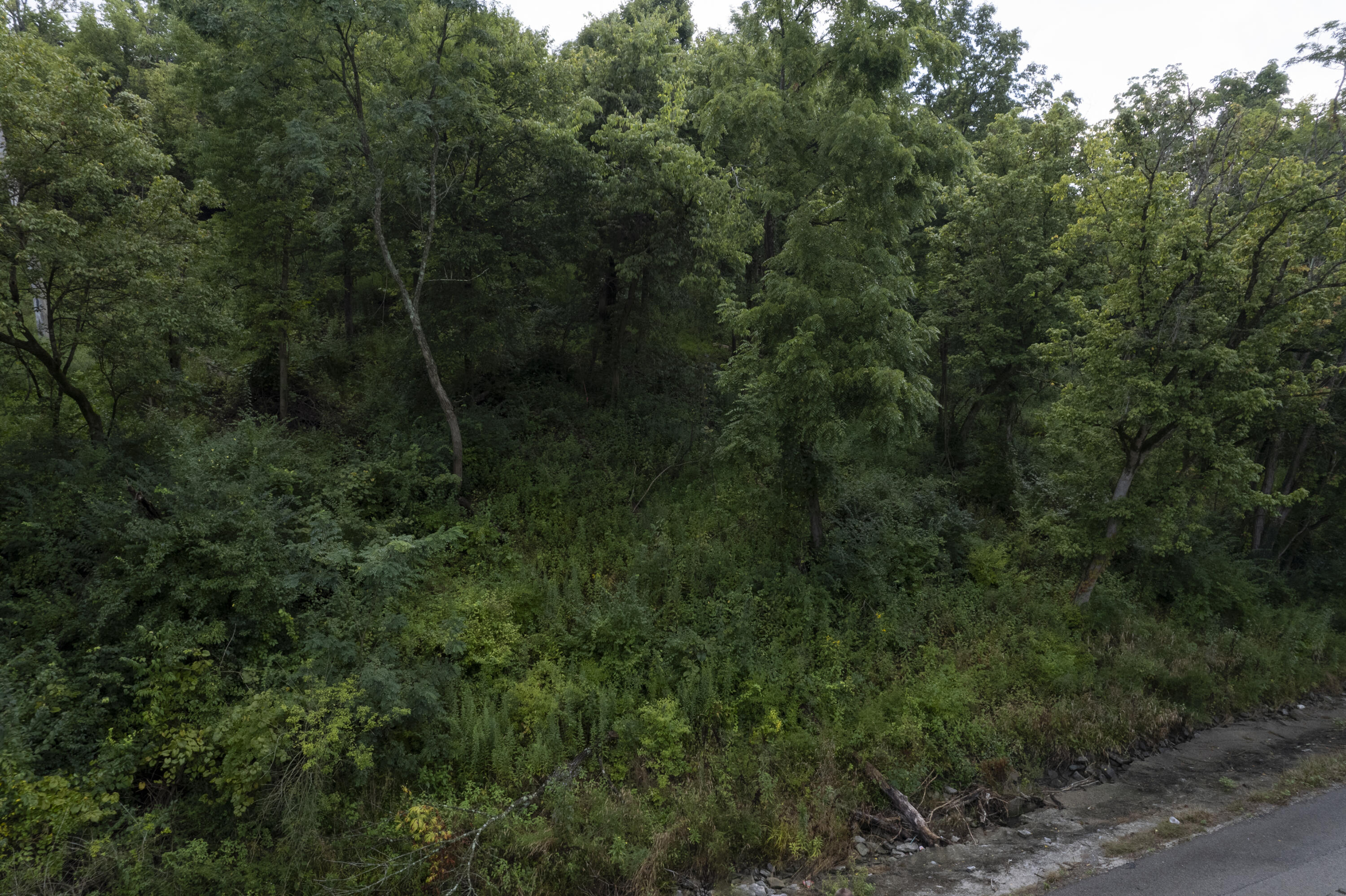 1419 Industrial Road Property Photo 2