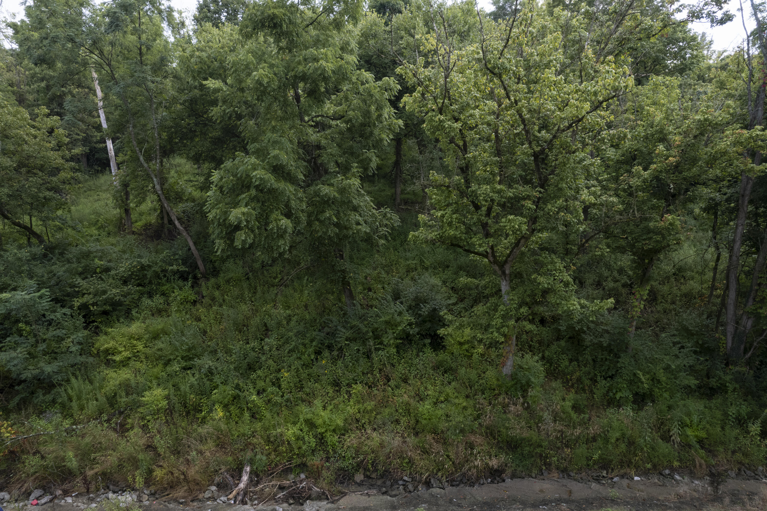 1419 Industrial Road Property Photo 3