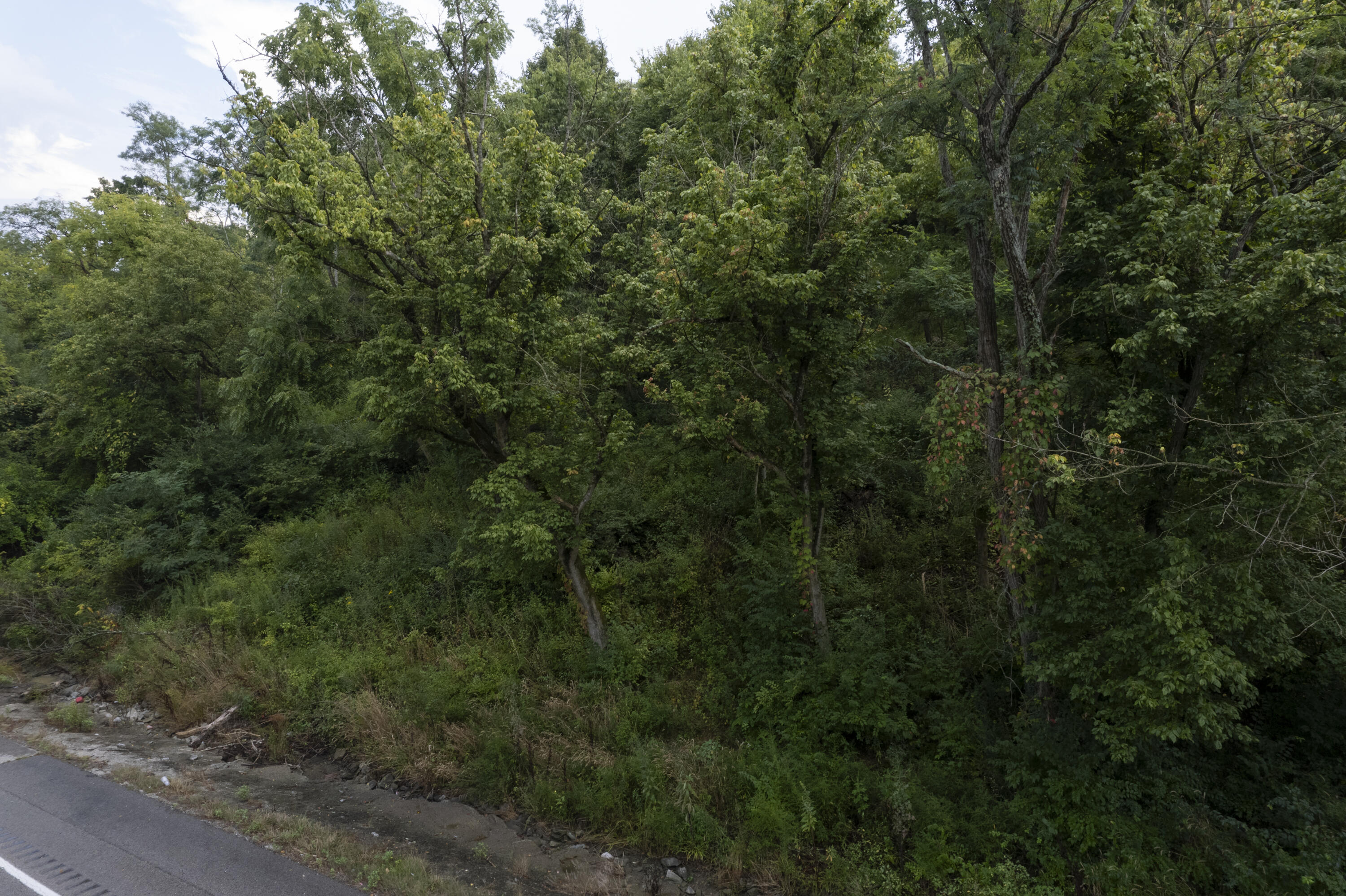 1419 Industrial Road Property Photo 4