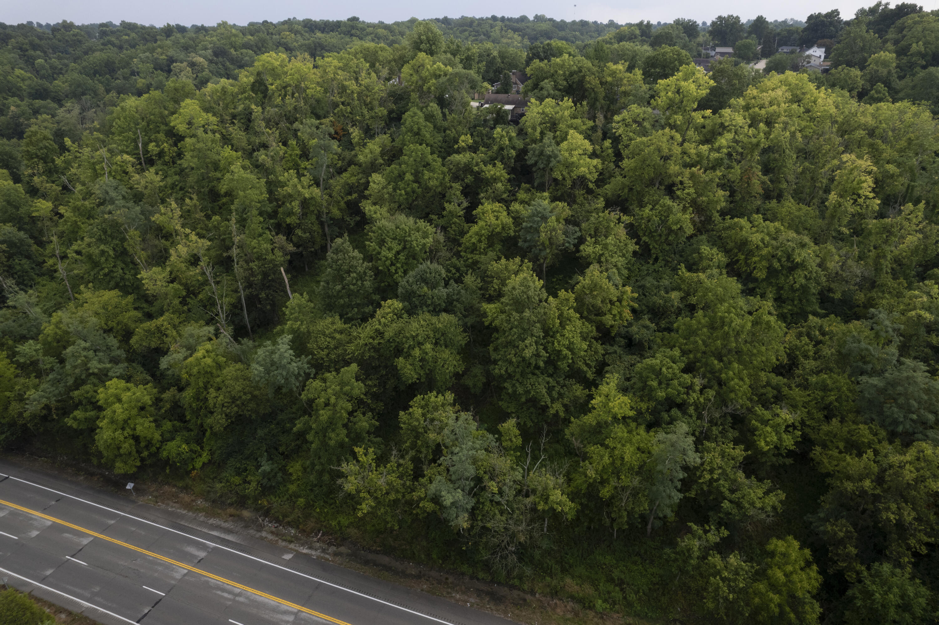 1419 Industrial Road Property Photo 6