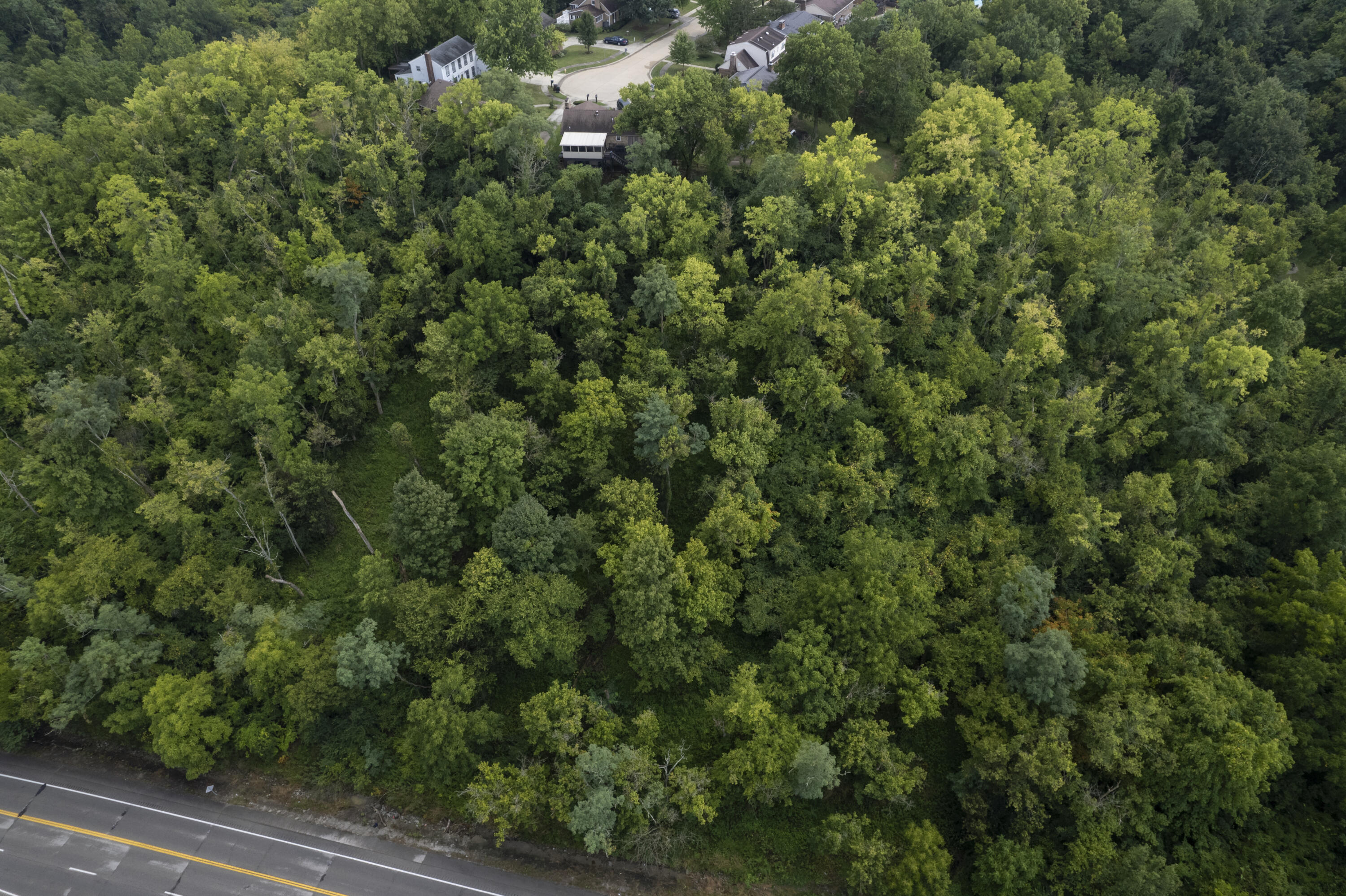 1419 Industrial Road Property Photo 7