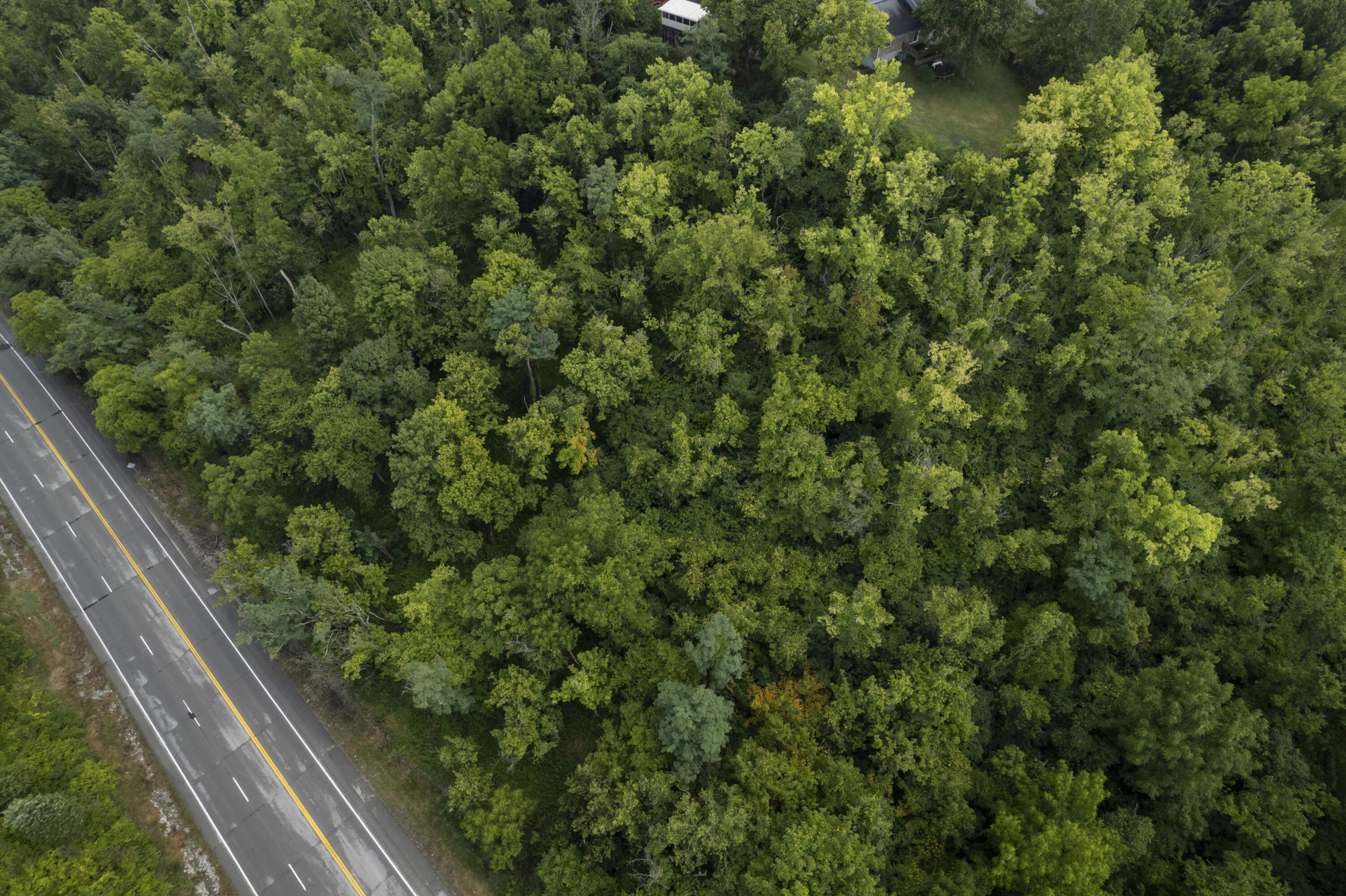 1419 Industrial Road Property Photo 9