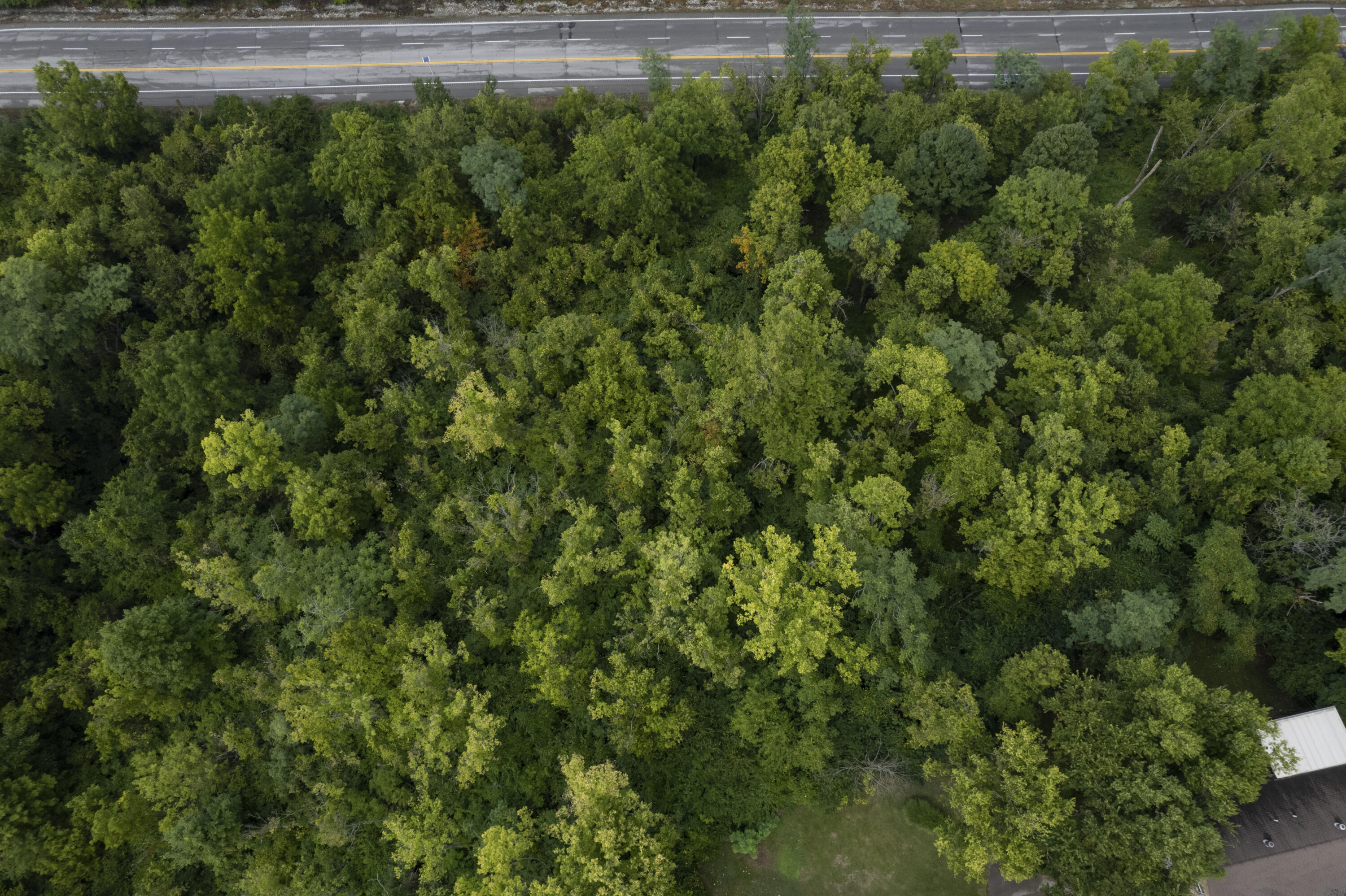 1419 Industrial Road Property Photo 10