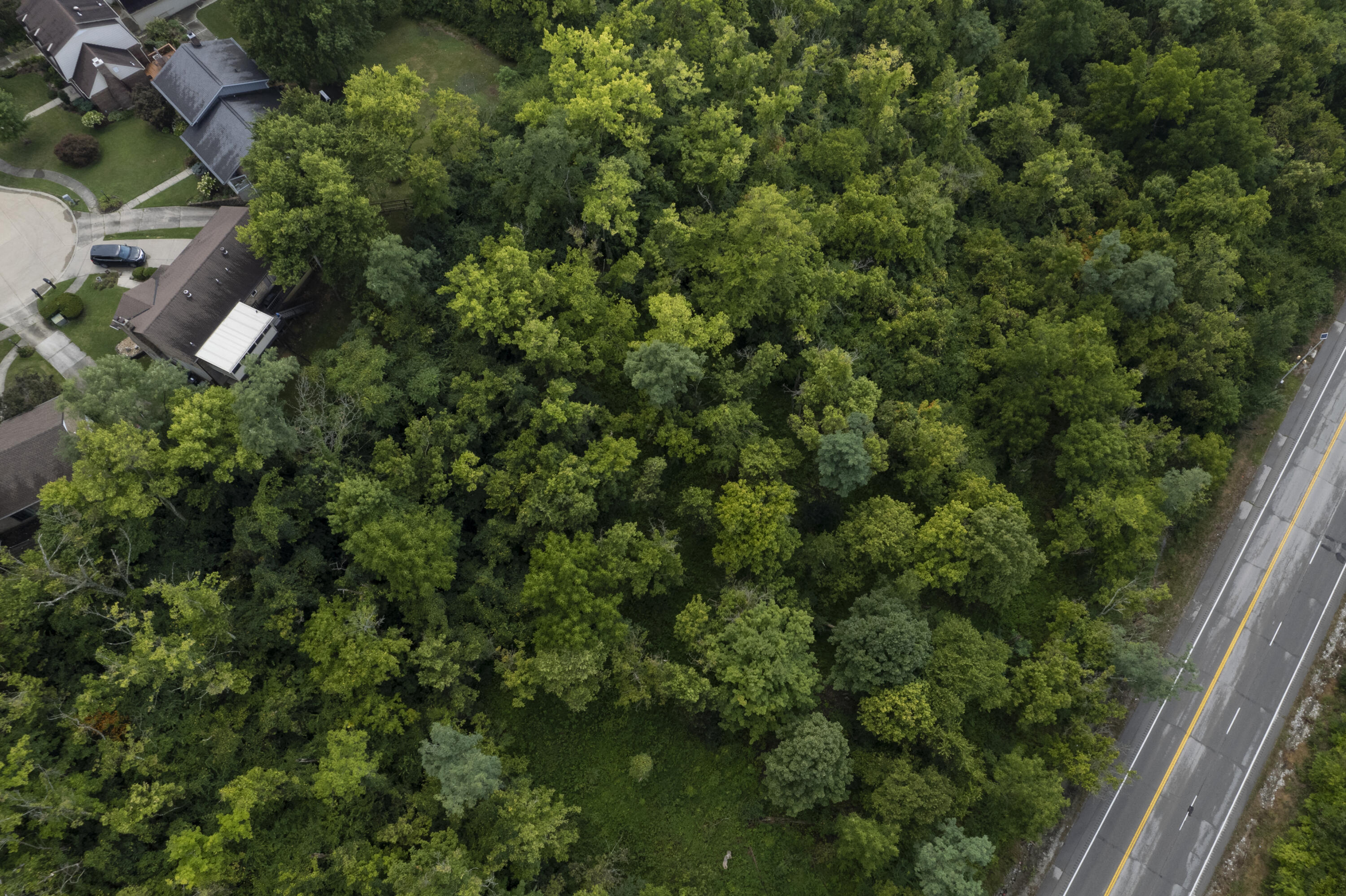 1419 Industrial Road Property Photo 12