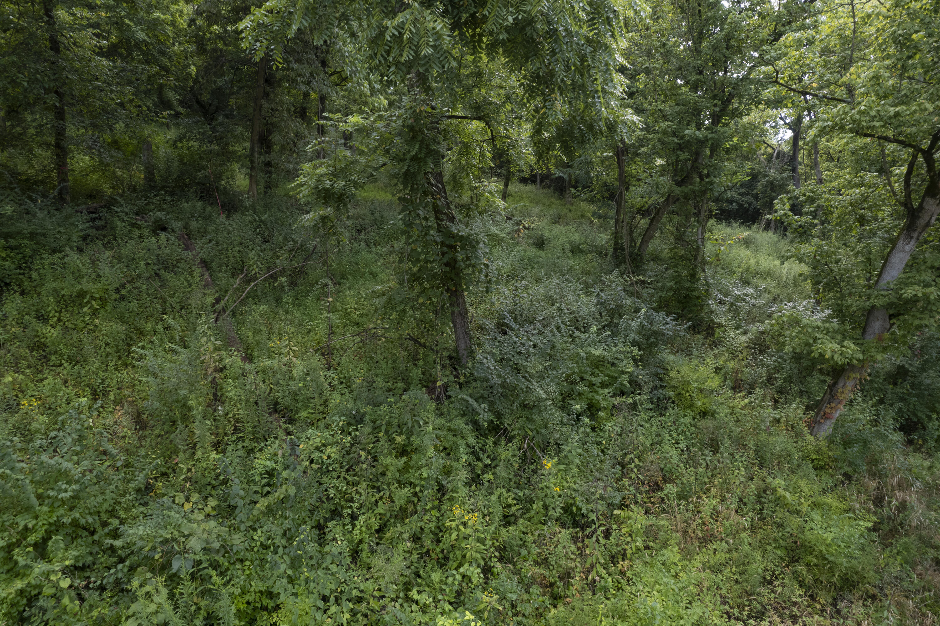1419 Industrial Road Property Photo 15