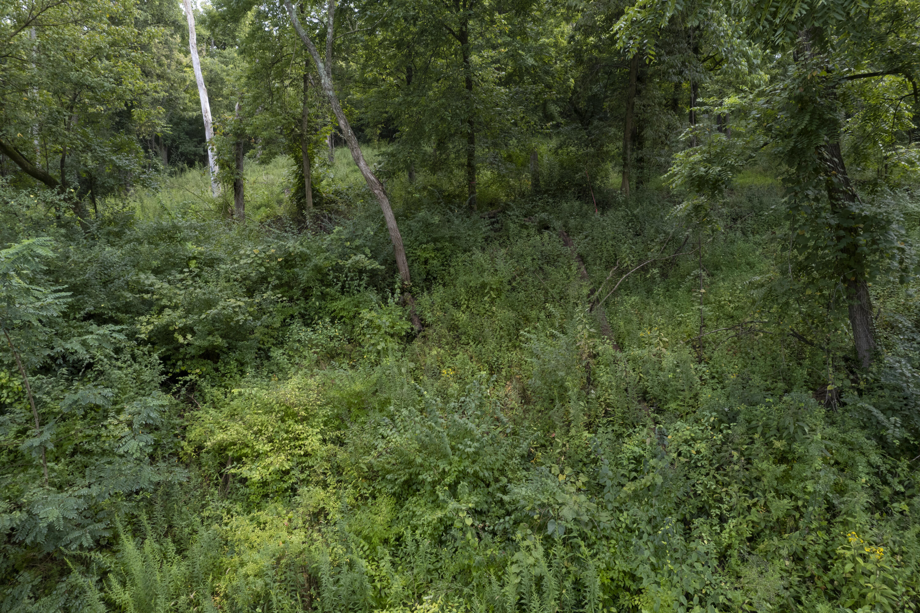1419 Industrial Road Property Photo 16