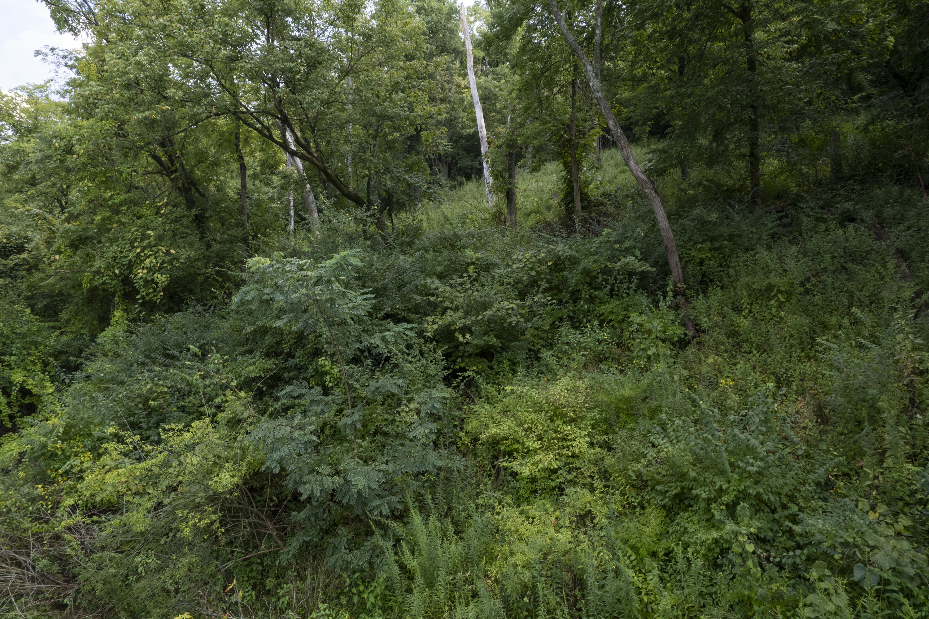 1419 Industrial Road Property Photo 17