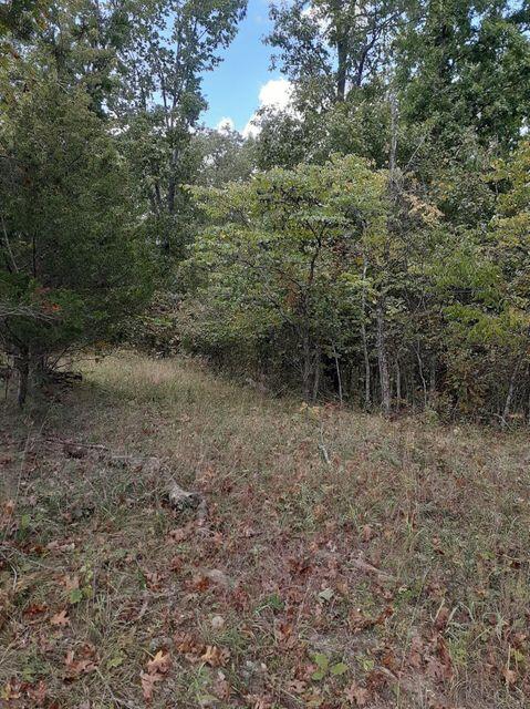 Lot 15 Apple Lane Property Photo 1
