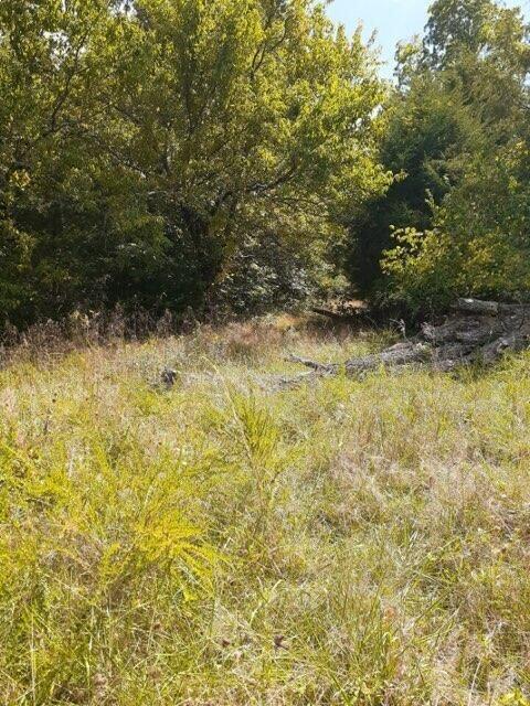 Lot 16 Apple Lane Property Photo 1