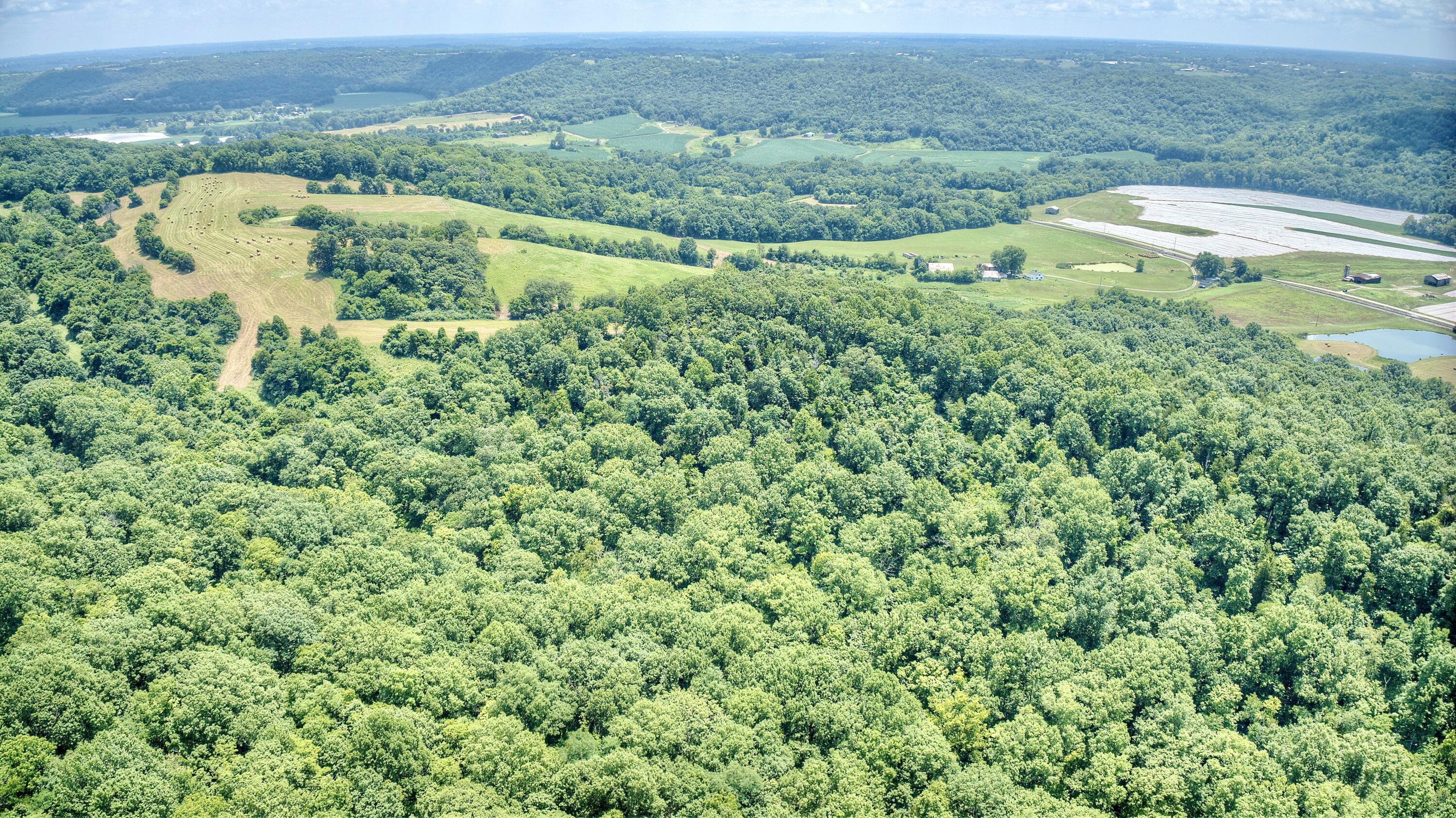 3386 Ky-467 Property Photo 12