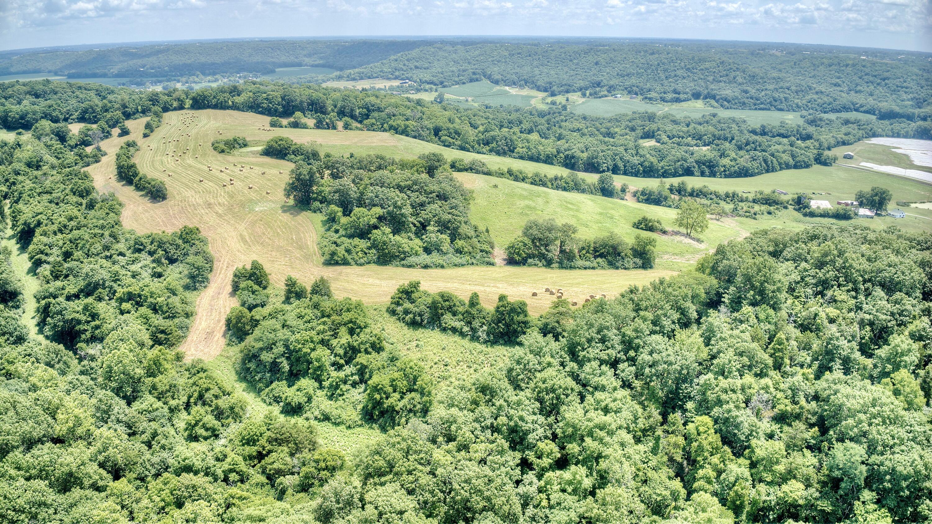 3386 Ky-467 Property Photo 11