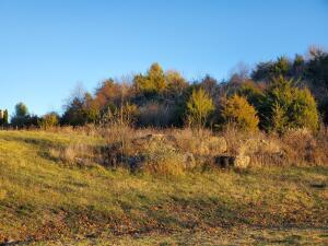 00 Linksview Property Photo 2